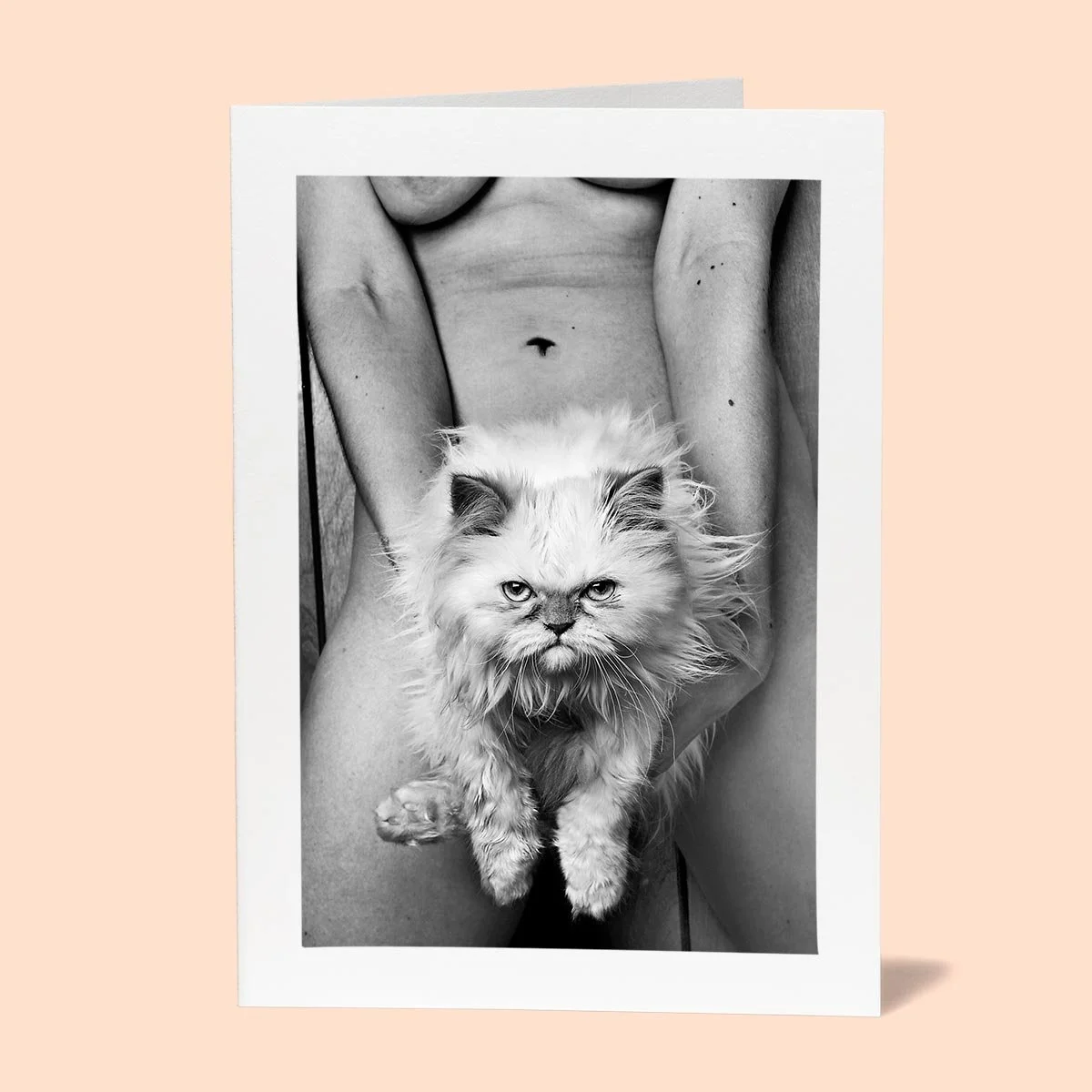mad-pussy.jpg