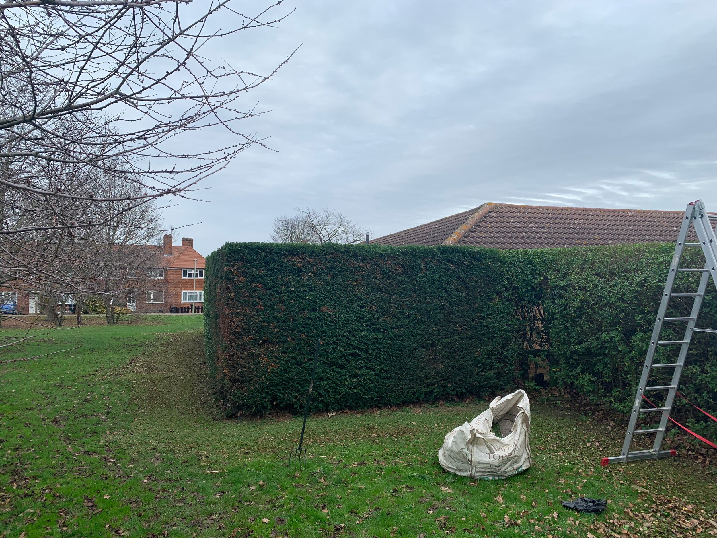 Hedge cutting Dunstable. Tree surgeon dunstable 