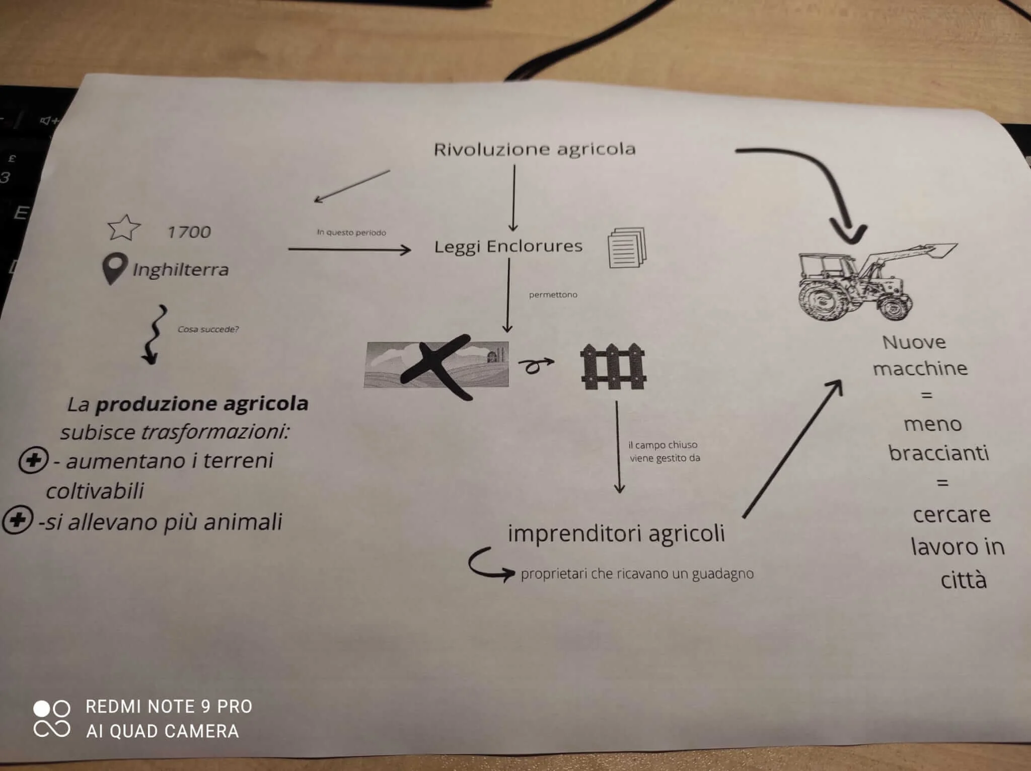 WhatsApp Image 2021-08-05 at 15.53.30.jpeg