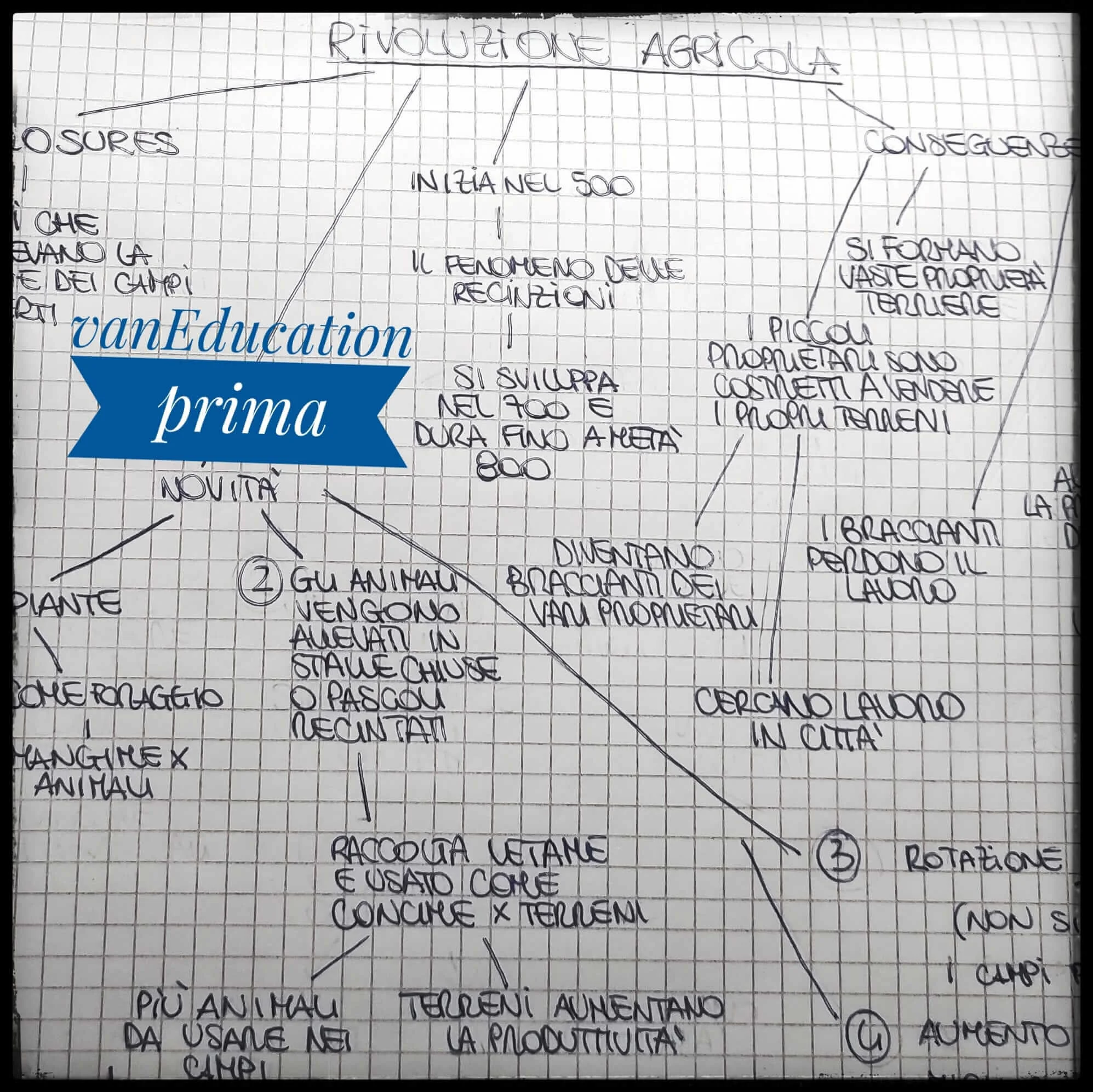 WhatsApp Image 2021-08-05 at 15.54.02.jpeg