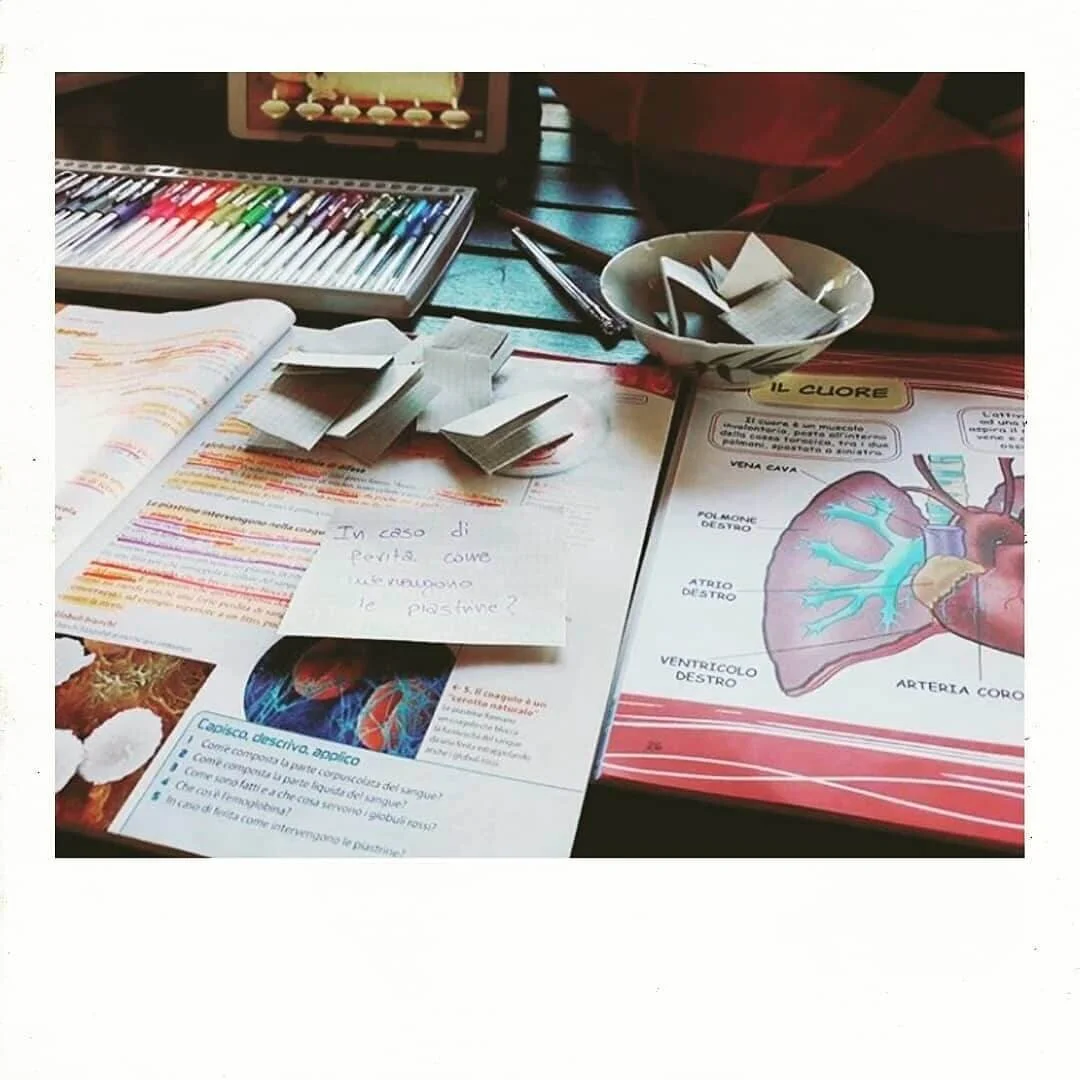 WhatsApp Image 2021-08-05 at 16.01.08.jpeg