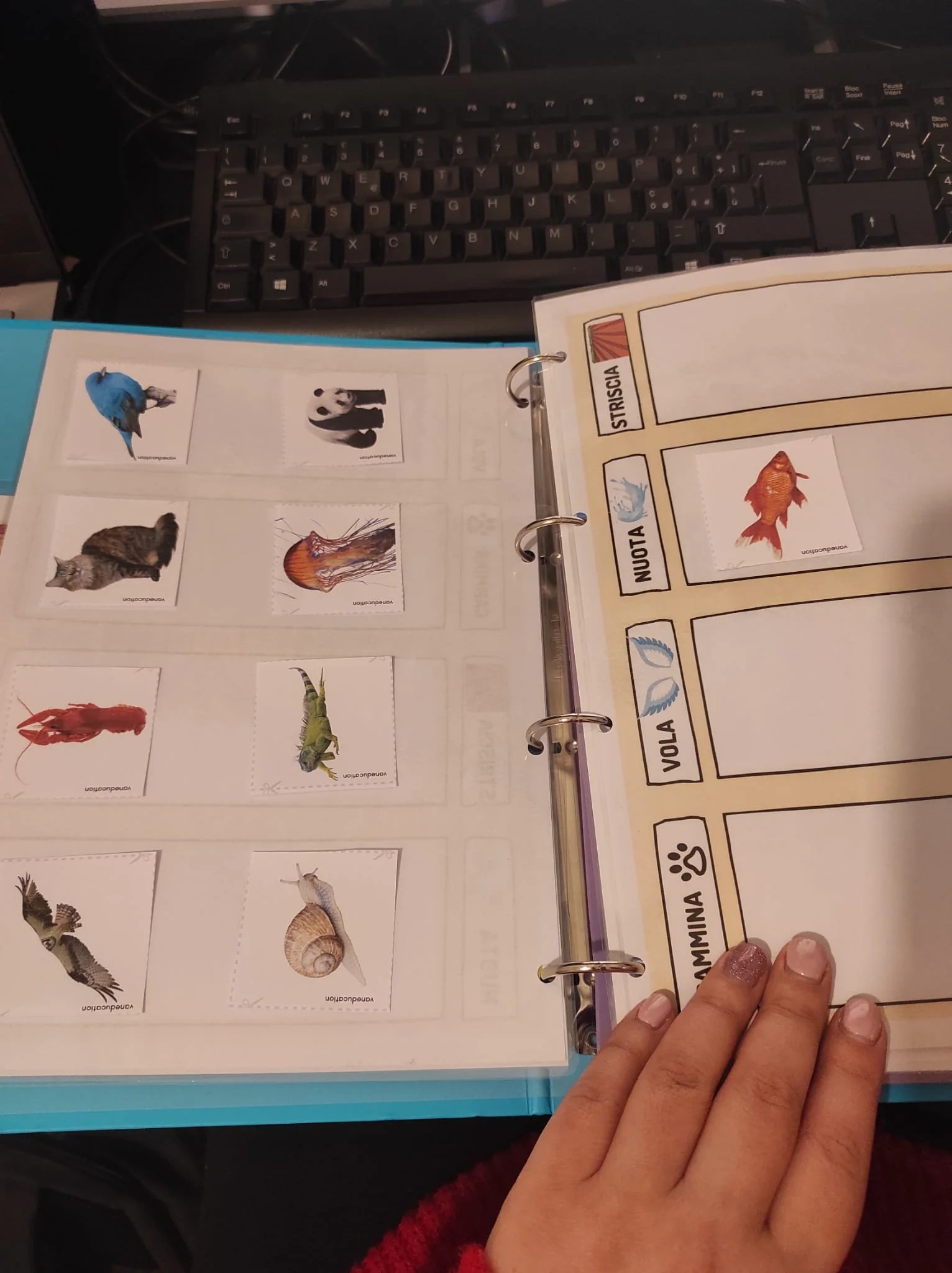 WhatsApp Image 2023-02-27 at 18.33.13.jpeg