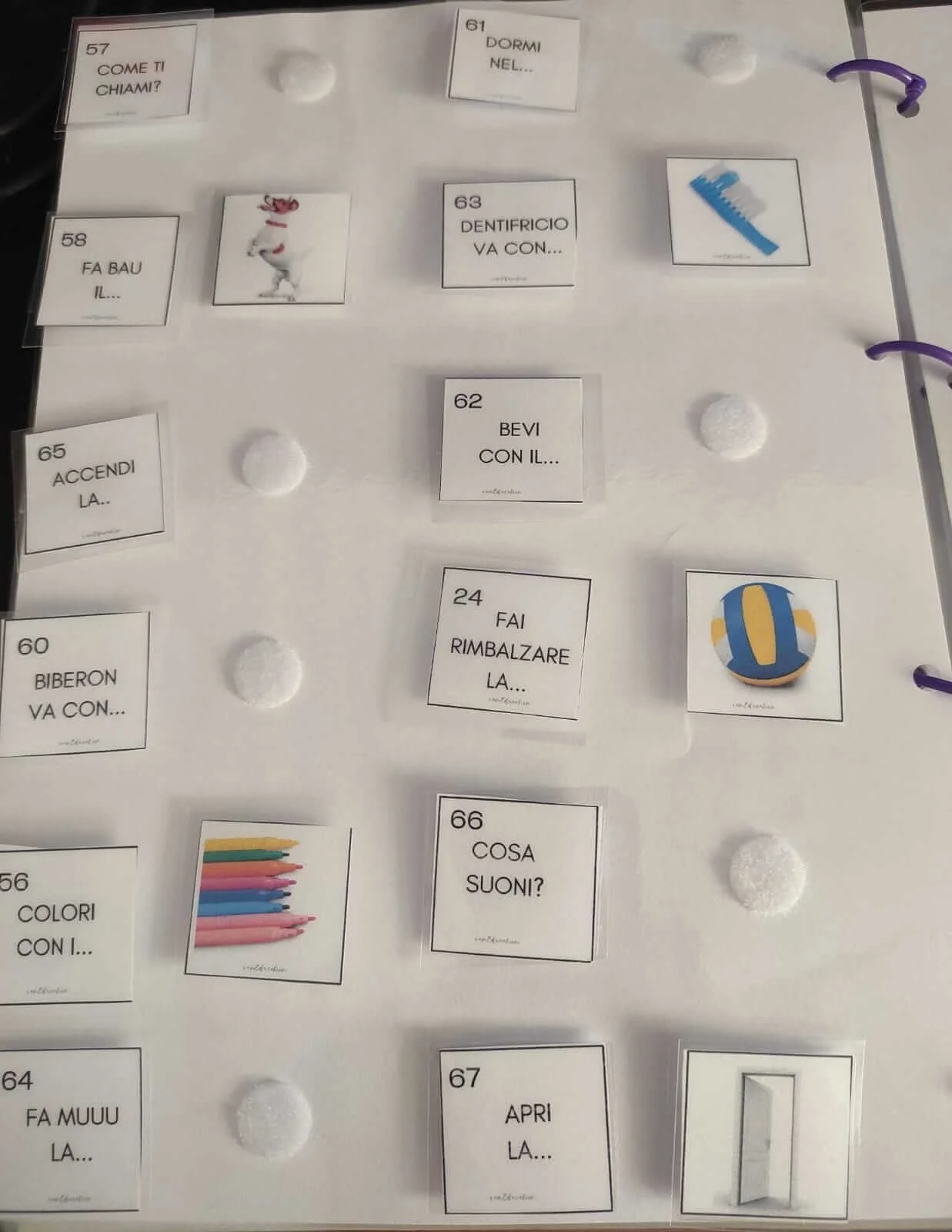 WhatsApp Image 2023-08-10 at 14.44.26.jpeg