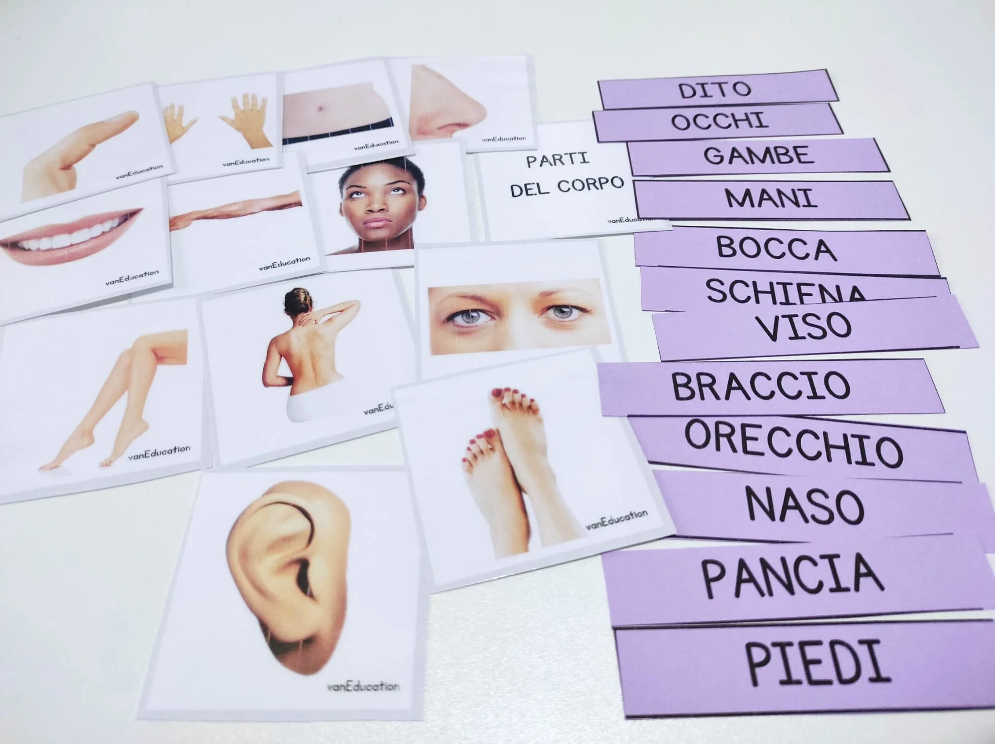 WhatsApp Image 2023-10-23 at 18.38.20 (3).jpeg