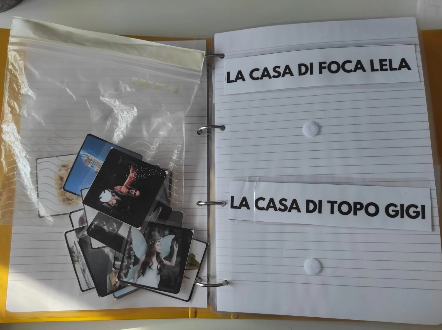 WhatsApp Image 2023-10-30 at 09.28.55 (2).jpeg