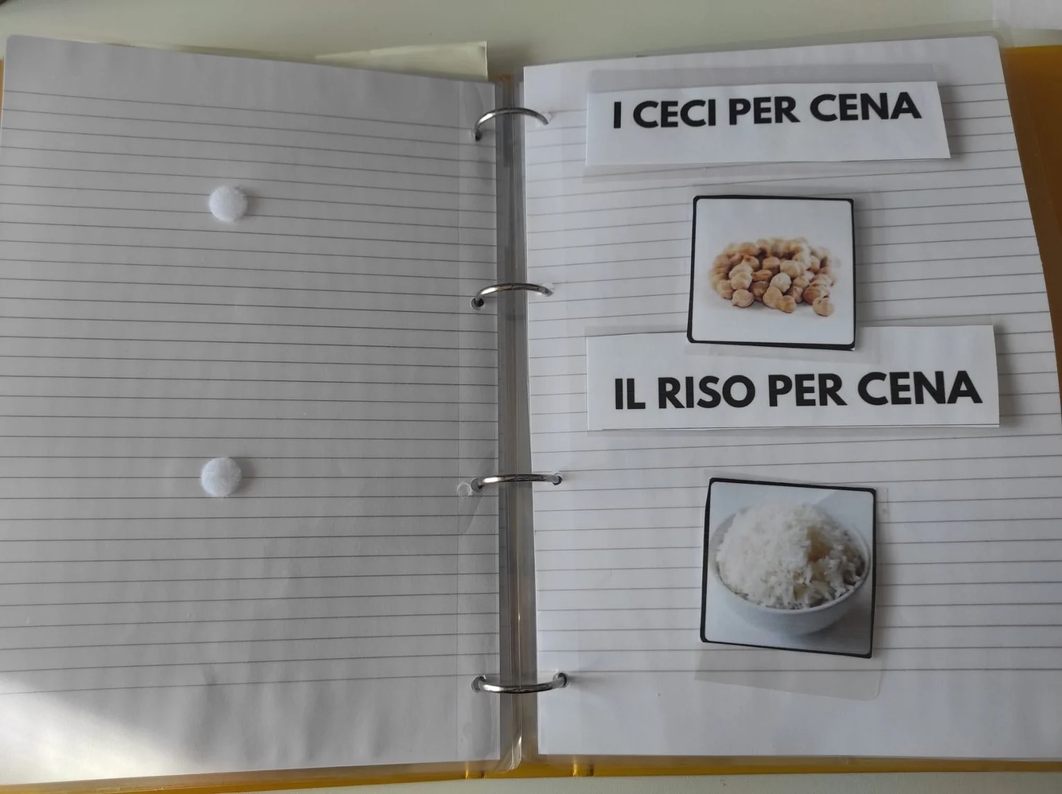 WhatsApp Image 2023-10-30 at 09.28.55 (1).jpeg