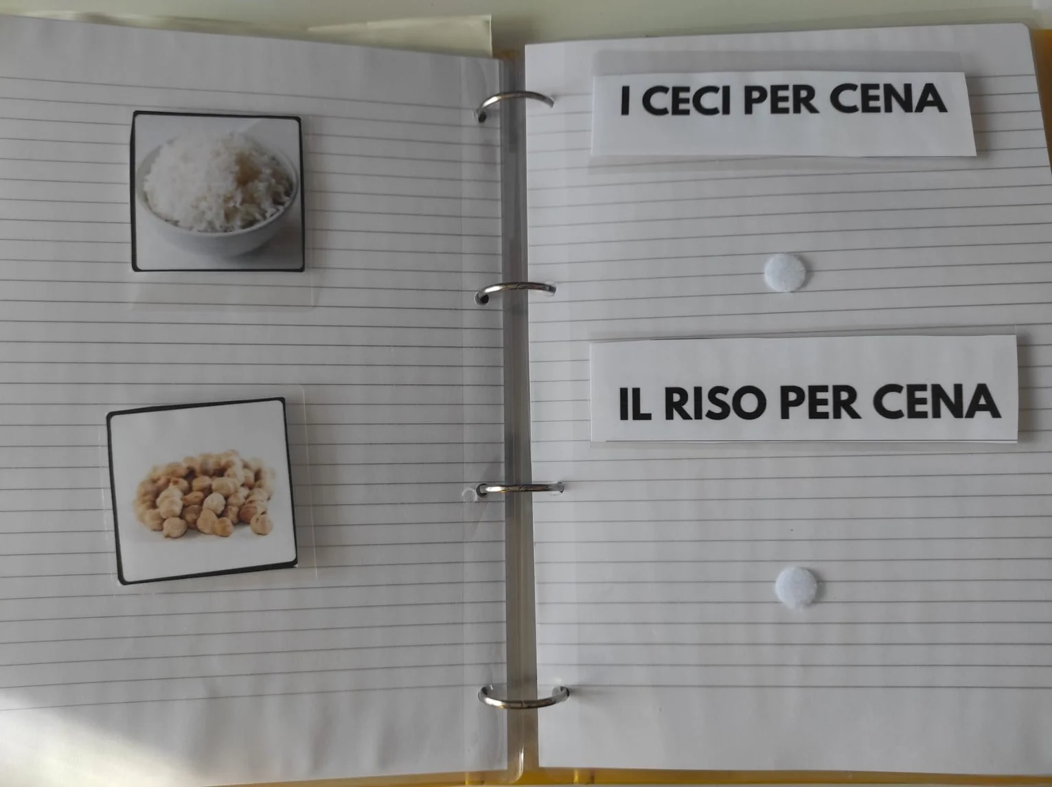 WhatsApp Image 2023-10-30 at 09.28.55.jpeg