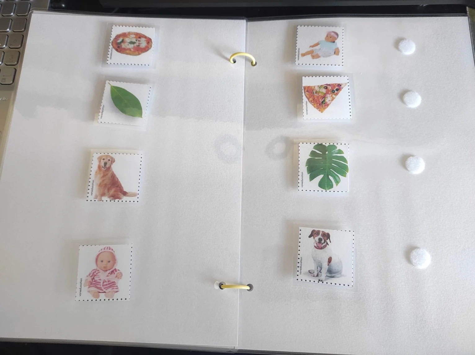 WhatsApp Image 2023-11-28 at 10.00.04 (3).jpeg