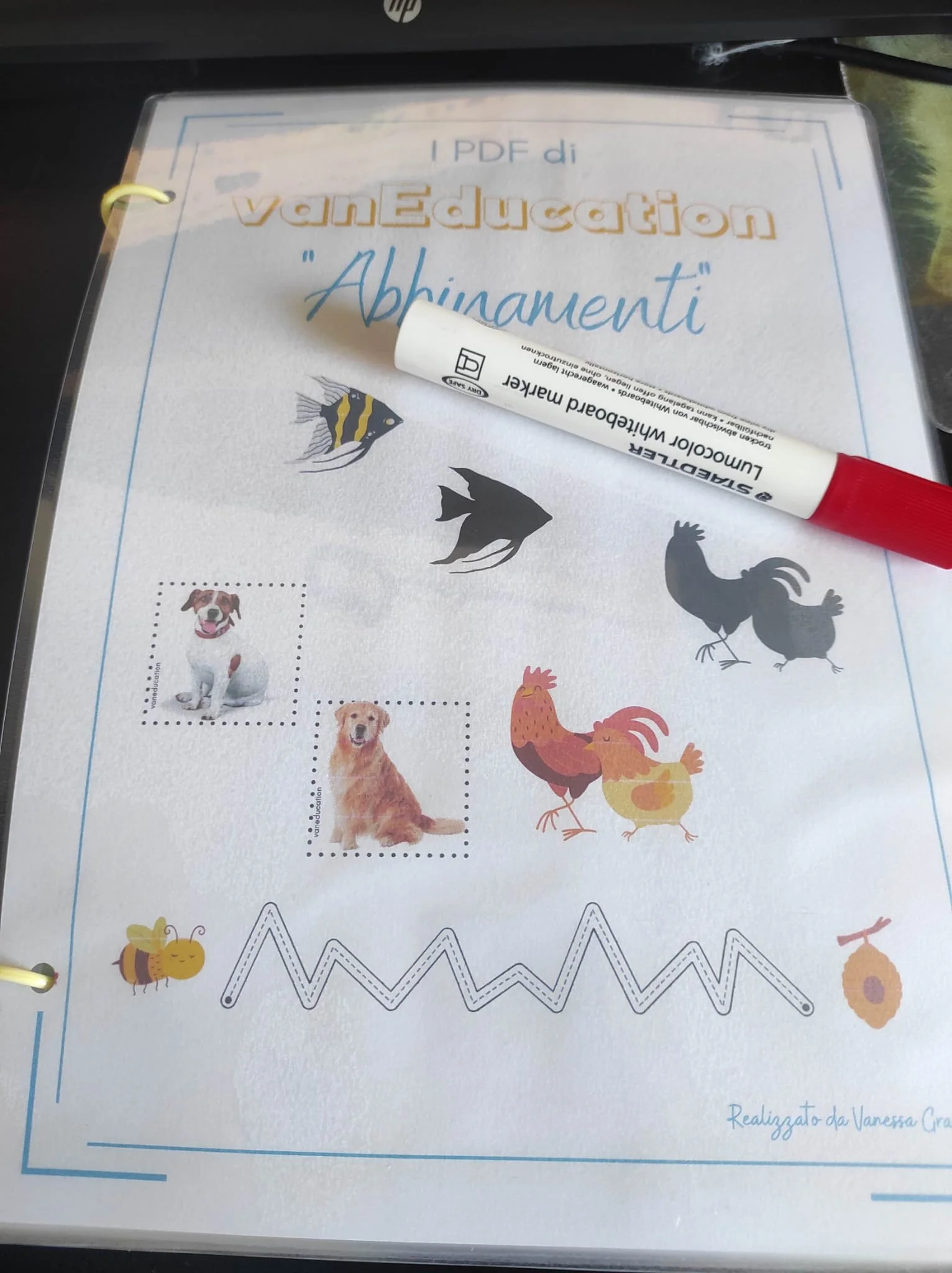 WhatsApp Image 2023-11-28 at 10.00.04.jpeg