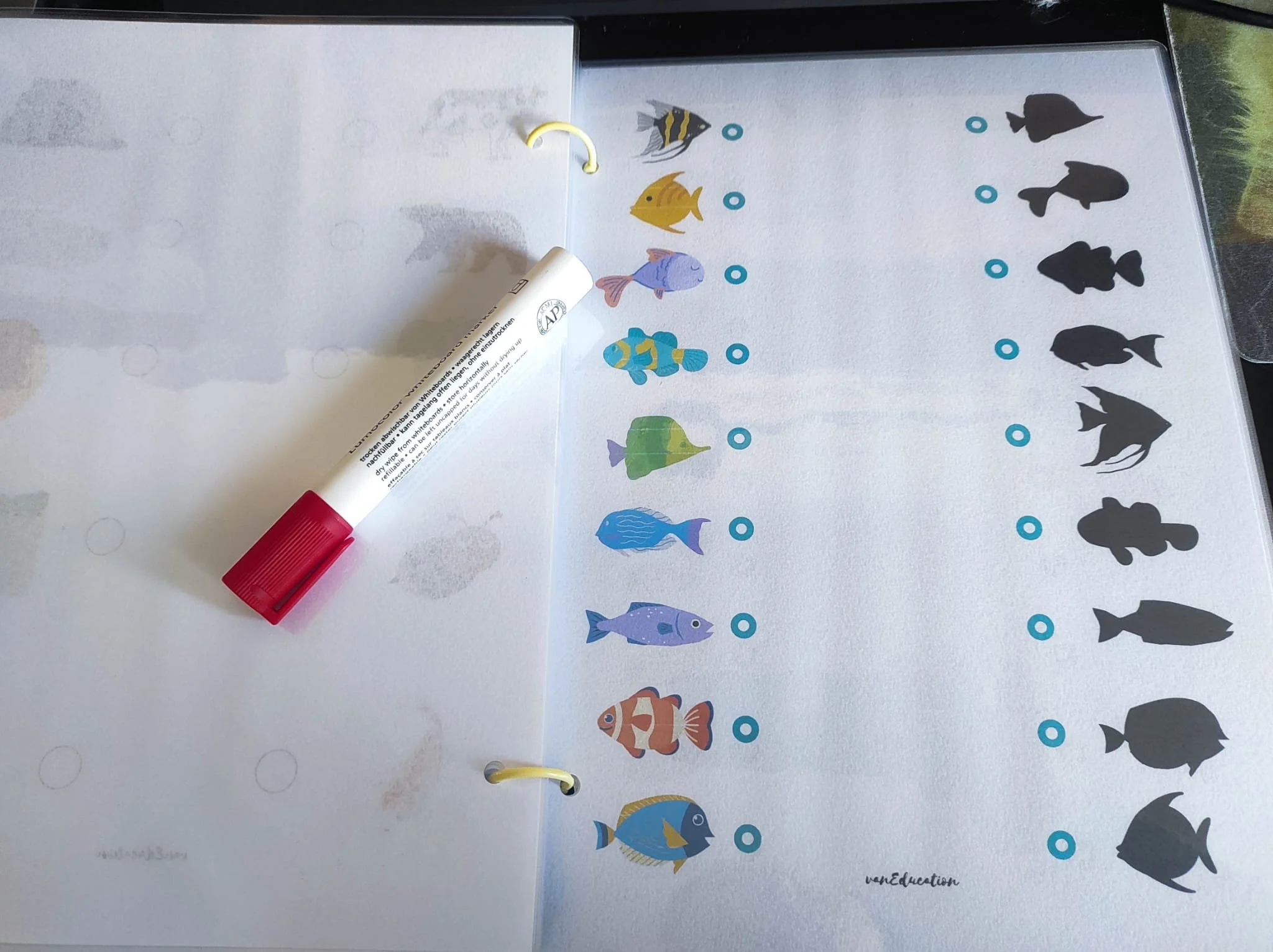 WhatsApp Image 2023-11-28 at 10.00.05 (3).jpeg