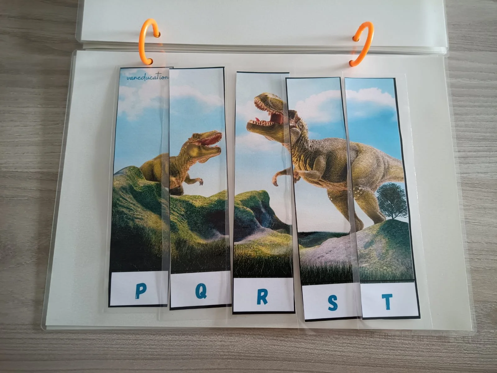 WhatsApp Image 2024-03-08 at 11.56.15.jpeg