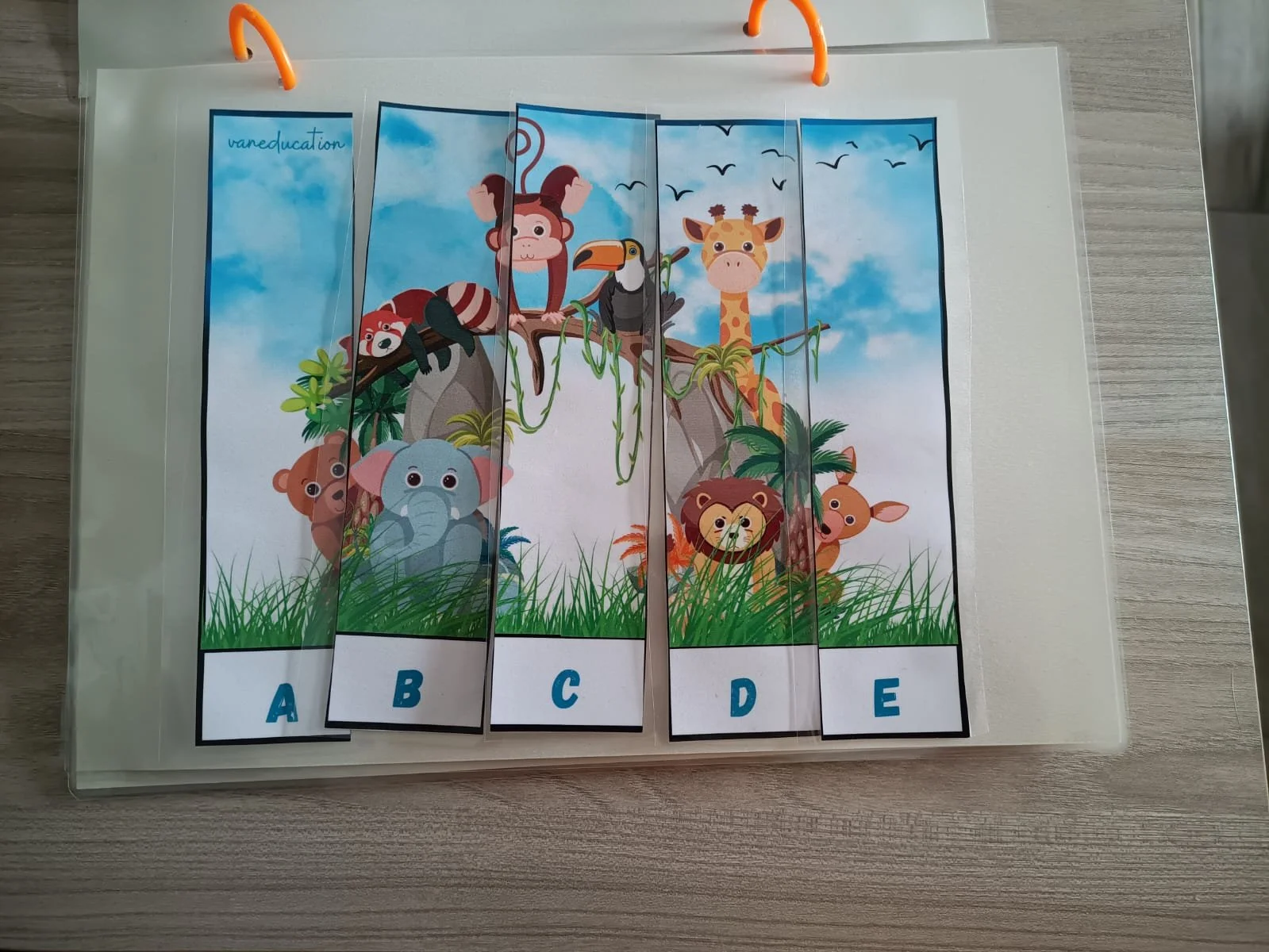 WhatsApp Image 2024-03-08 at 11.56.14.jpeg