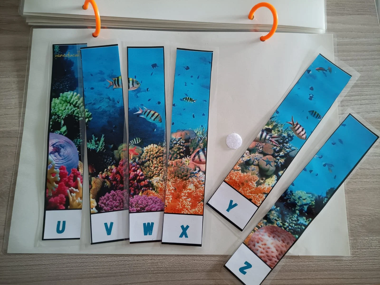 WhatsApp Image 2024-03-08 at 11.56.15 (1).jpeg