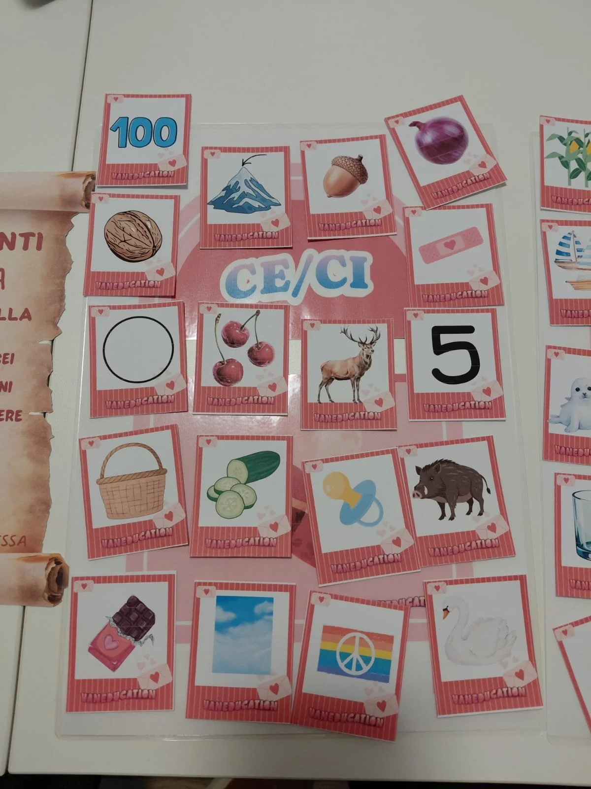 WhatsApp Image 2026-02-11 at 19.52.22 (2).jpeg