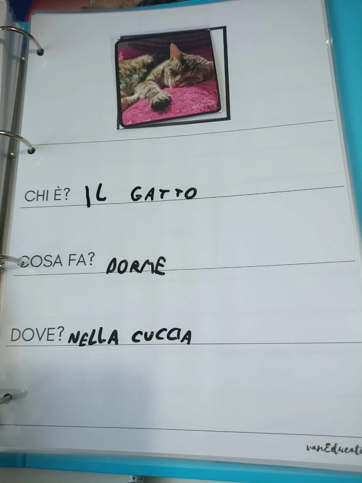 WhatsApp Image 2024-11-04 at 16.41.32.jpeg