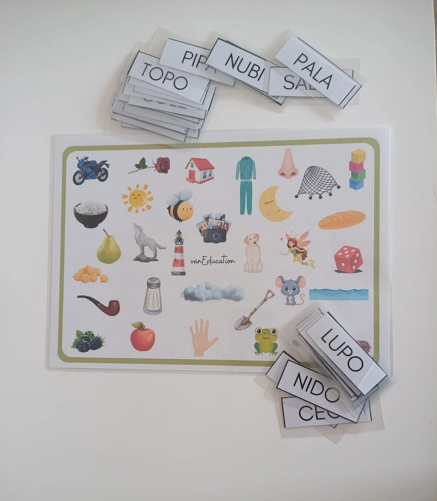 WhatsApp Image 2025-02-15 at 11.49.26.jpeg