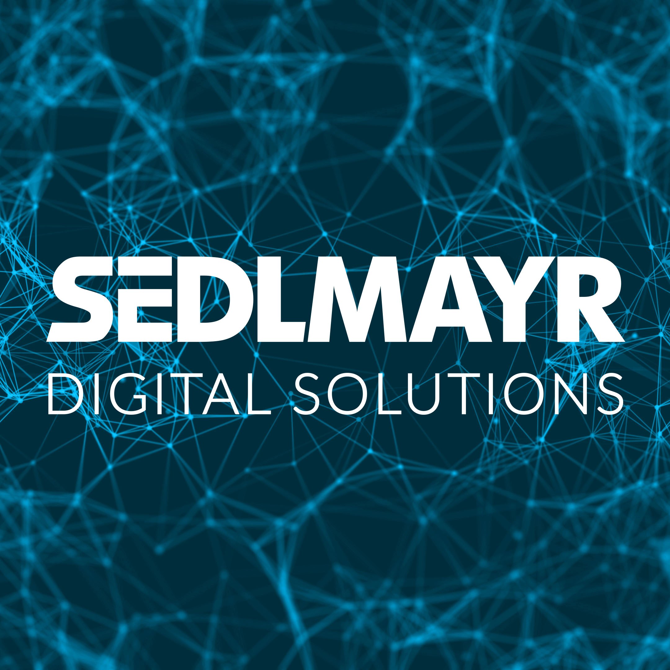 digital-solutions-logo-with-background.jpg