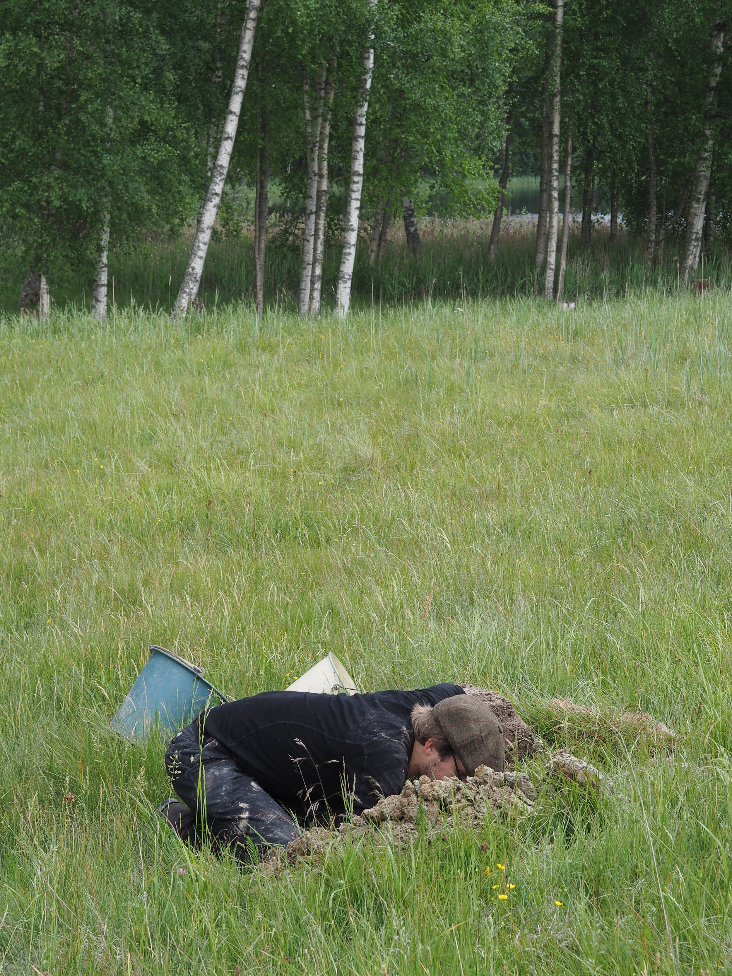 Leran låg-6190276.jpg