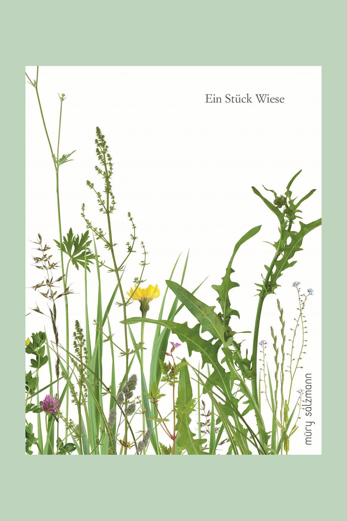 EinStückWiese_m.HG.jpeg