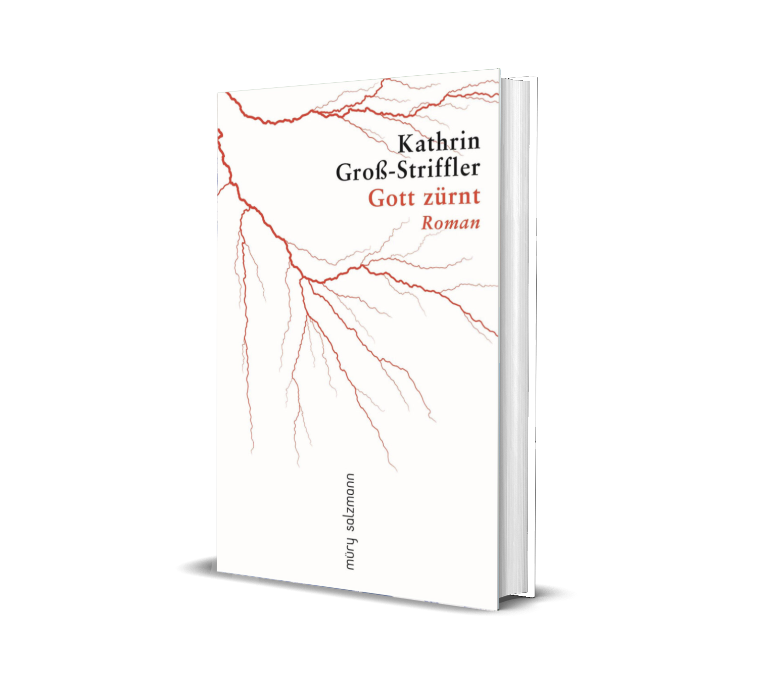 gott-zürnt_mockup.png