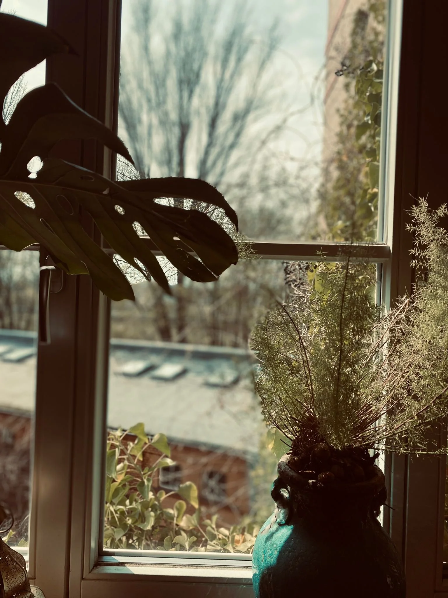 PHOTO-2023-04-23-22-50-08 4.jpg