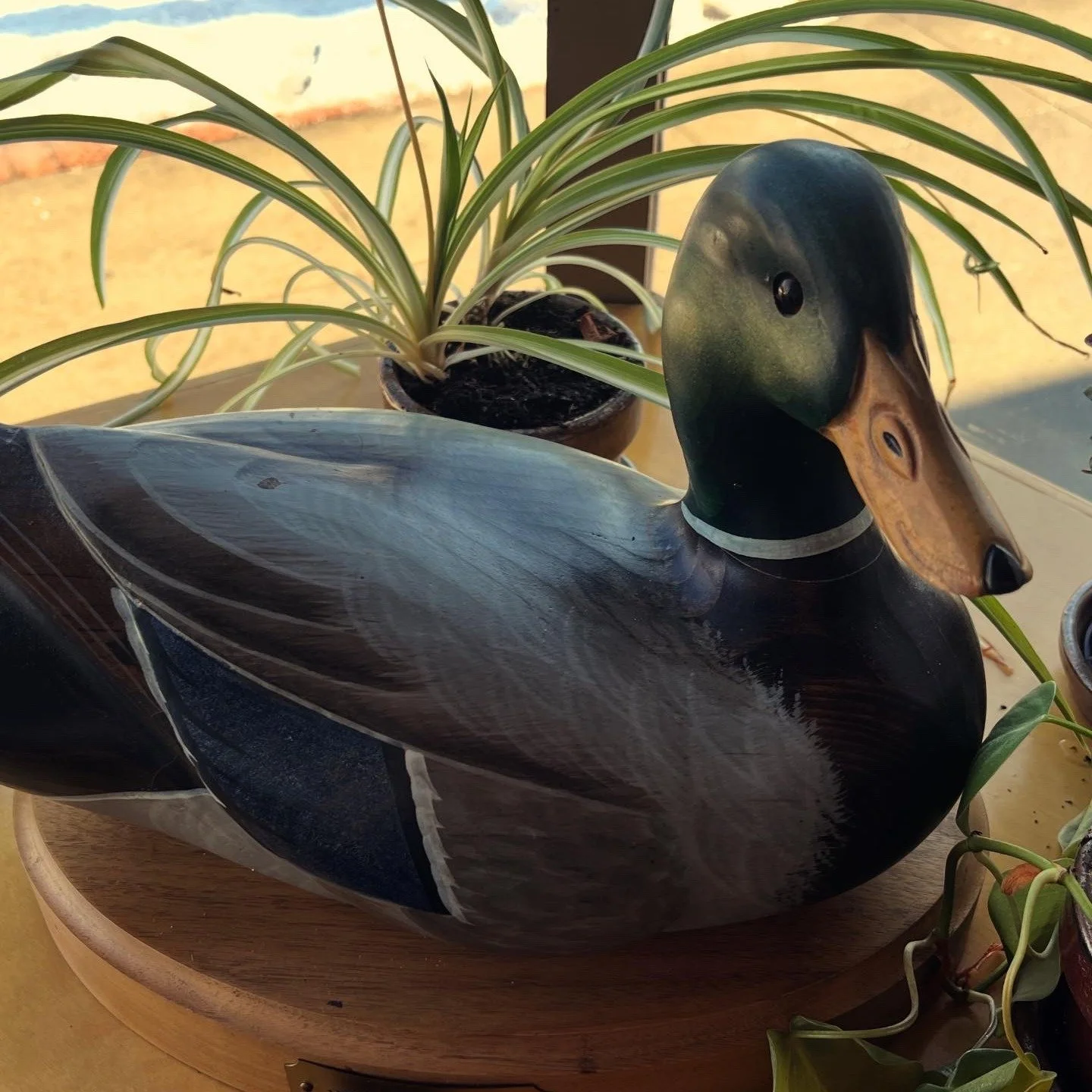 We&rsquo;ve missed the buzz of the dining room and your familiar faces 💜
After a little winter break, we&rsquo;re so excited to be back at it tonight!