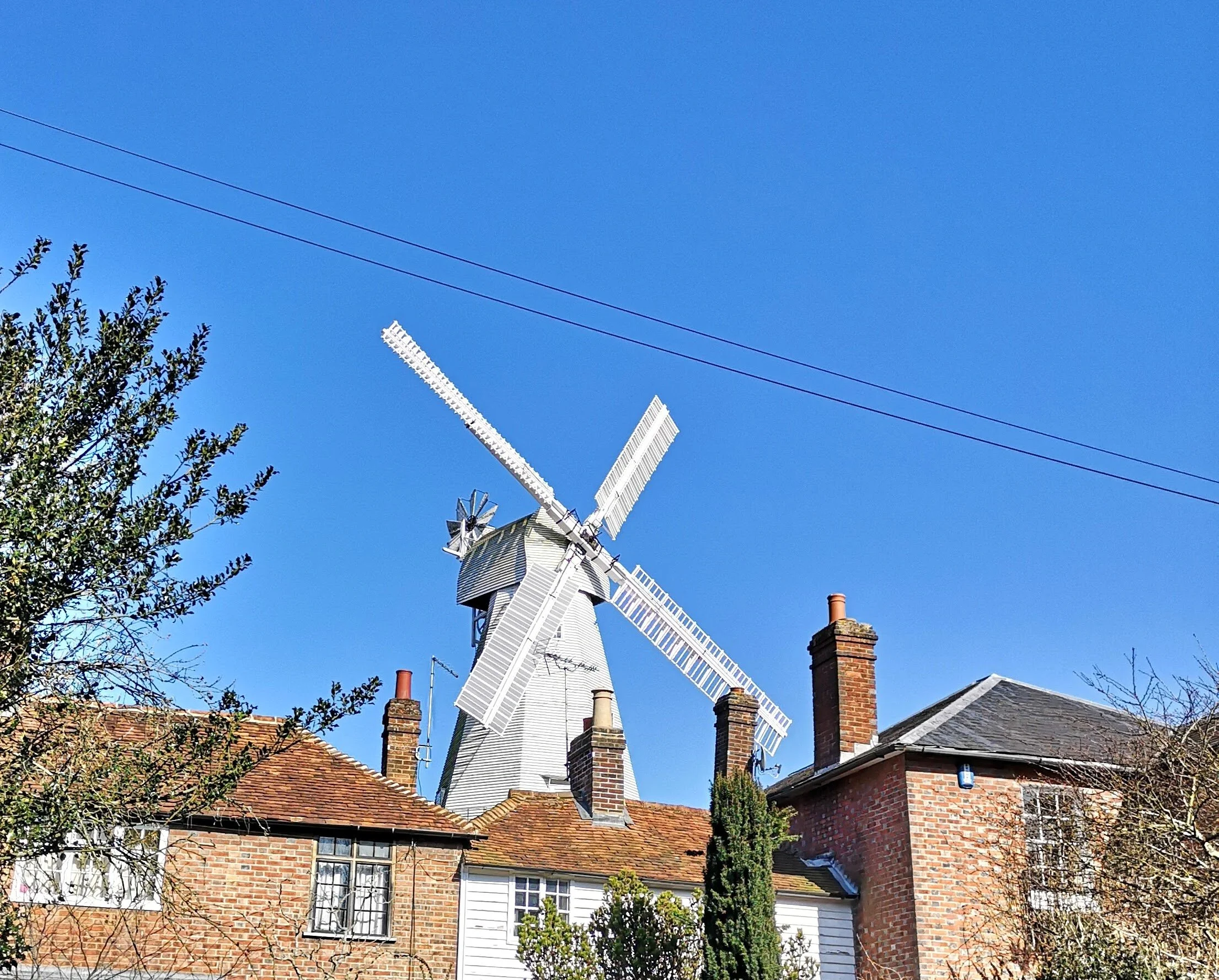 Cranbrook Music Festival