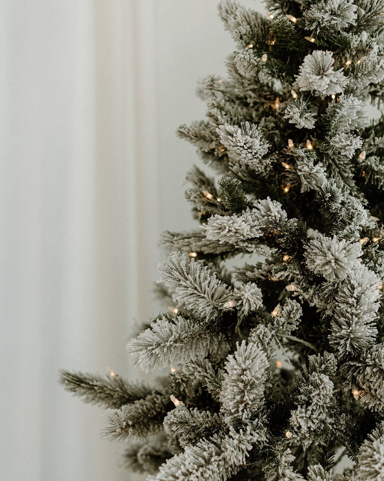 Finally convinced Michael to get a fake frosted tree this year 😬

Merry Christmas, friends ❄️

&mdash;

photo: @ohmissmeghan 
edit: @arielmkuhn