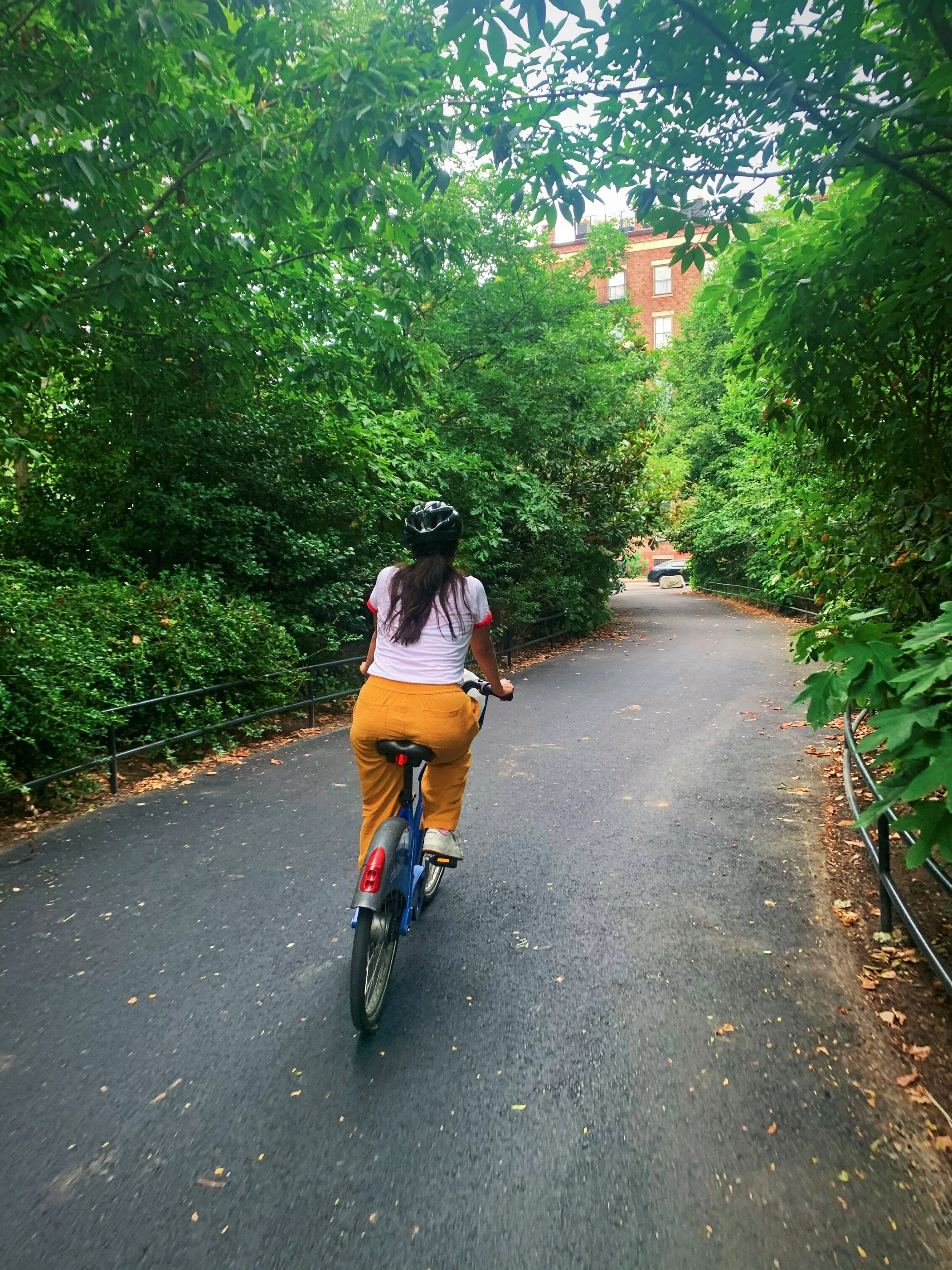 13 Easy Ways I Reduce My Carbon Footprint as a New Yorker 