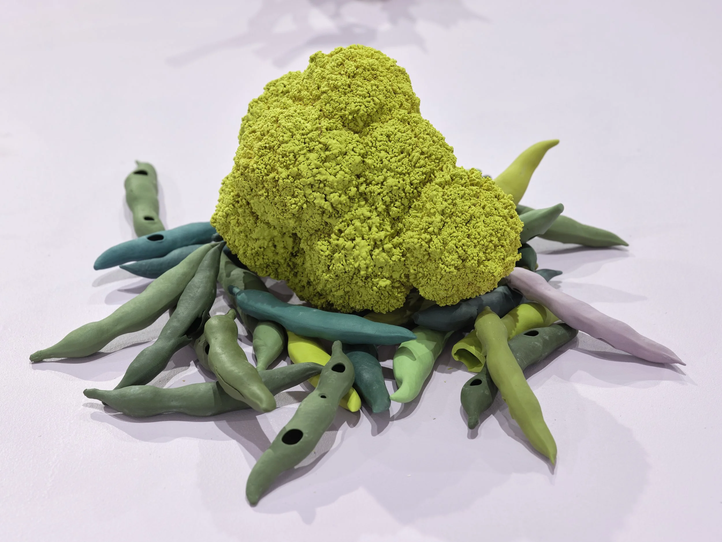 beans supporting something bulbous, 32 x 34 x 13cm