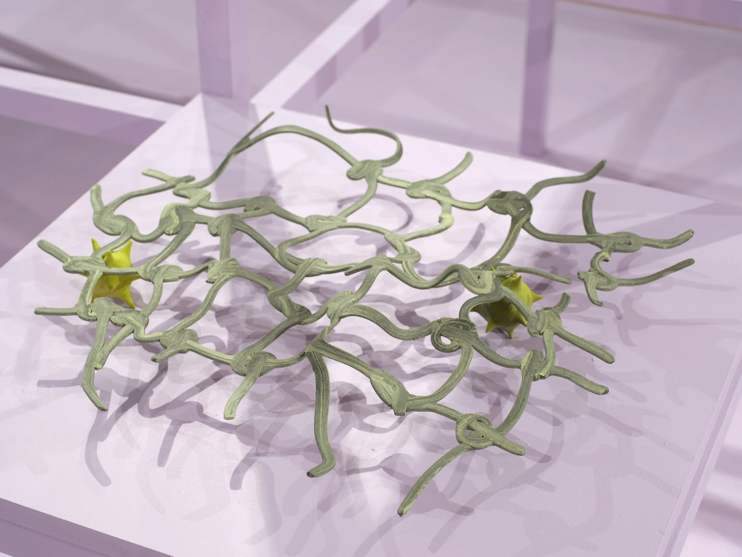 lingering knots, 2025