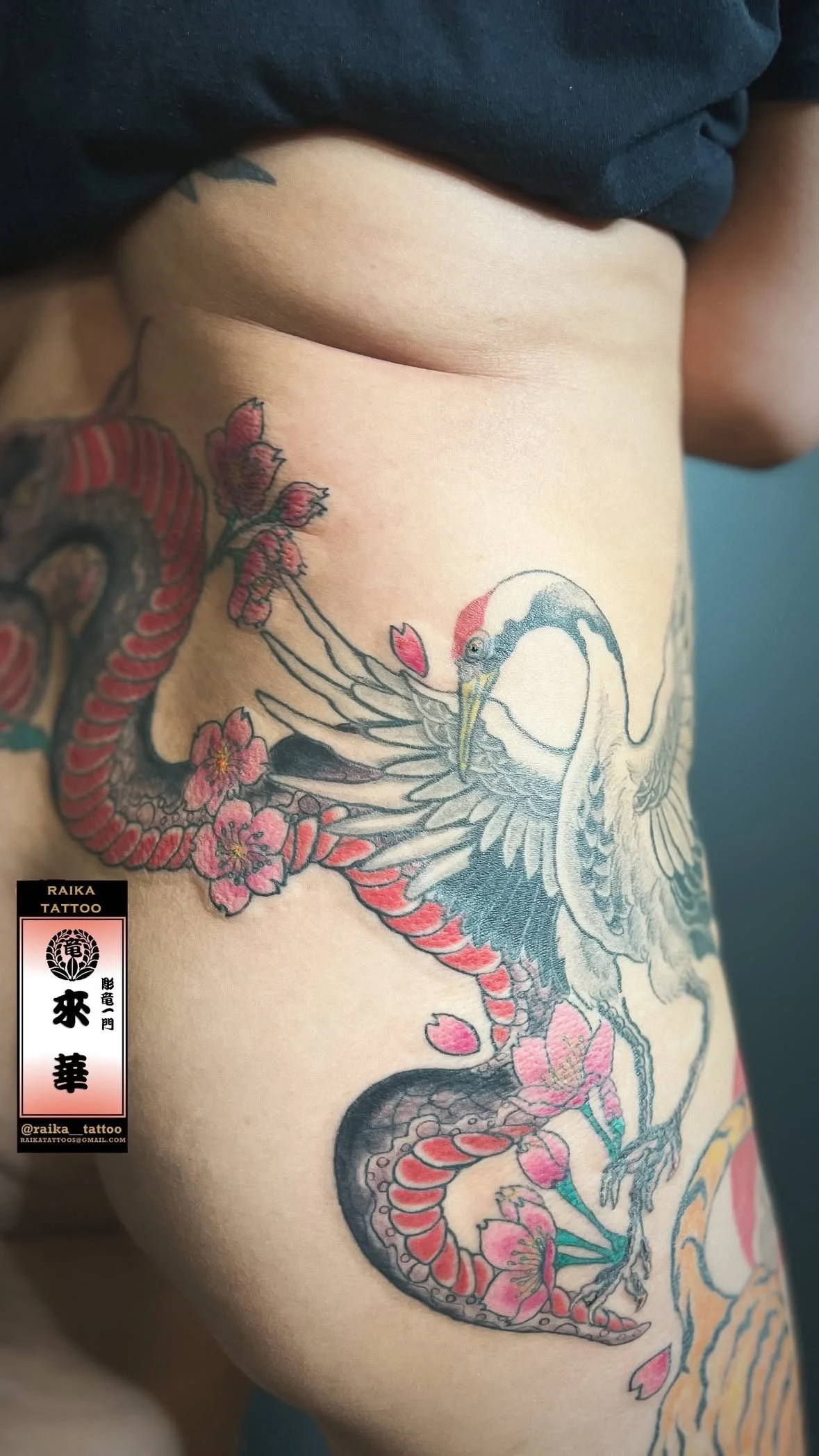 Close-up of a colorful tattoo on a person's side, featuring a heron surrounded by pink cherry blossoms and a red and black dragon-like tail.