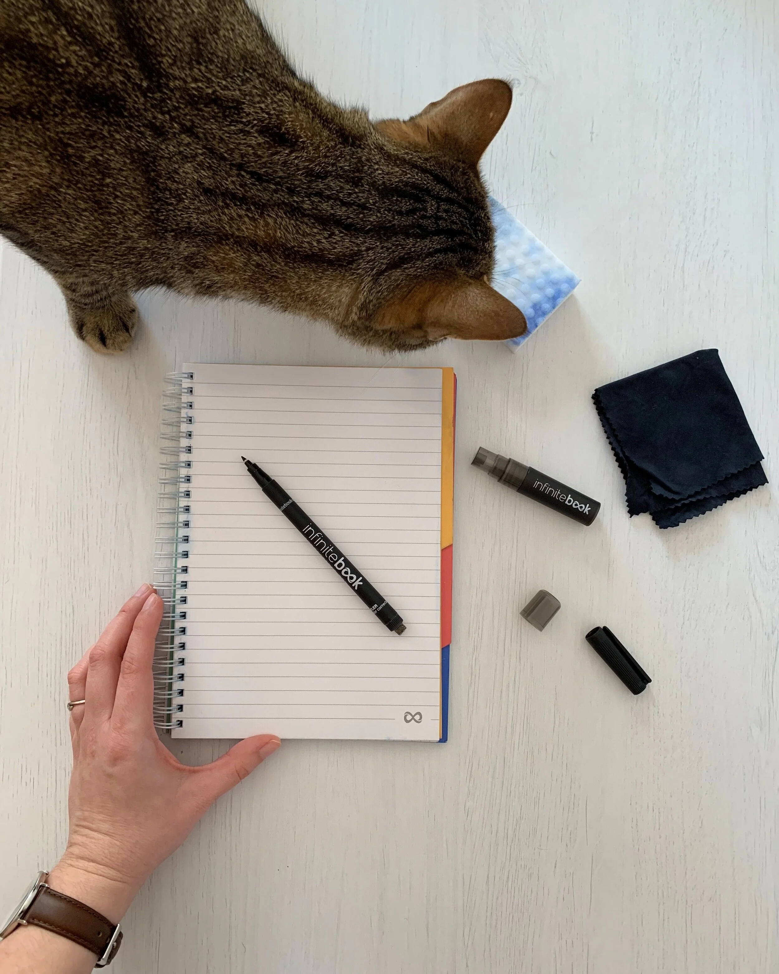 Photo credit: Fisura