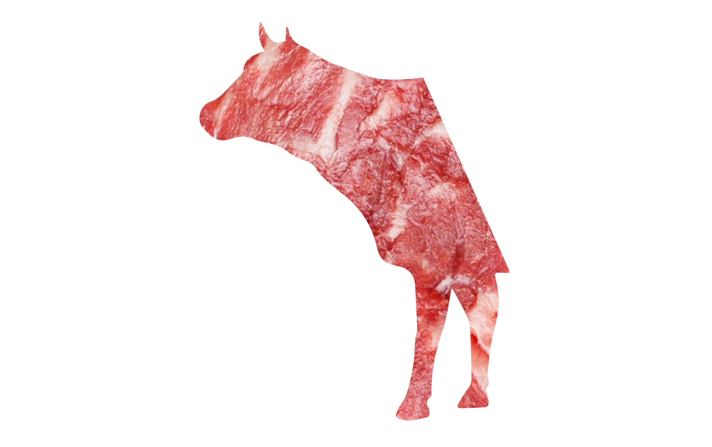 BMB Cattle Buy Beef in Bulk Local Natural Beef