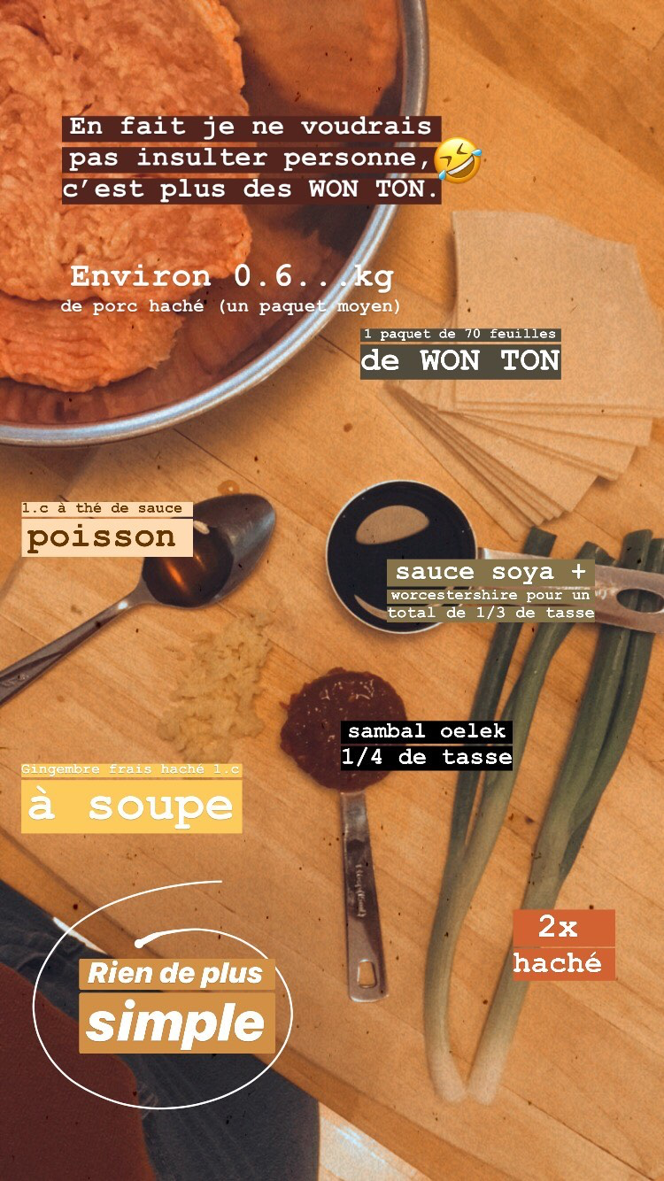 La Meilleure Recette De Farce à Wonton 2 Façons De Les Servir Daphlive