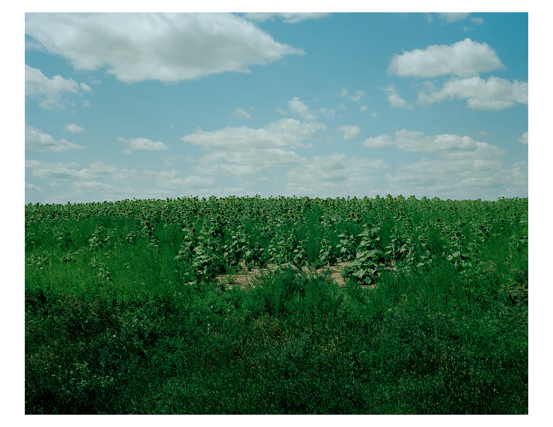 South Dakota.jpg