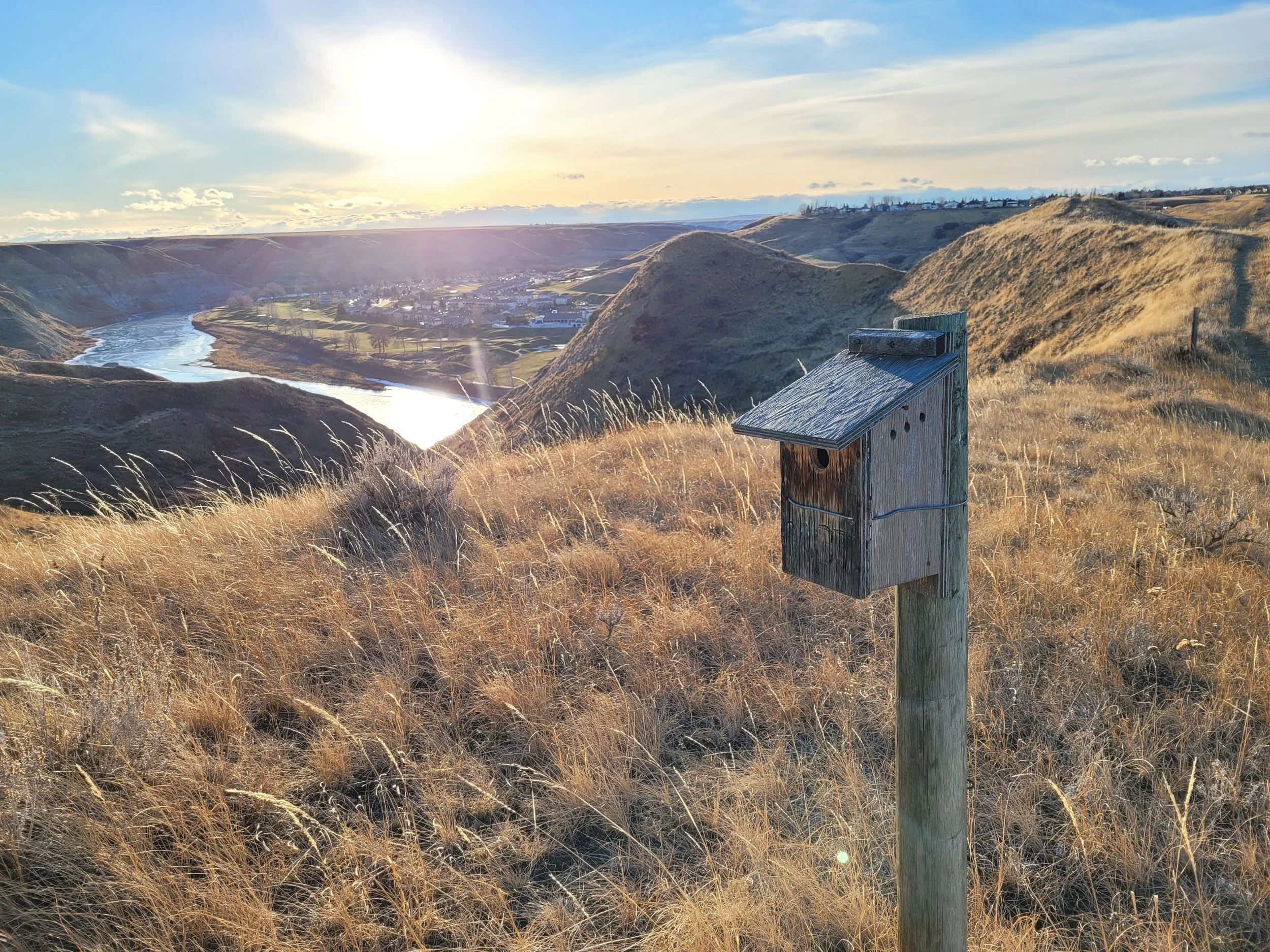 Preparing your nest boxes for winter — Mountain Bluebird Trails ...