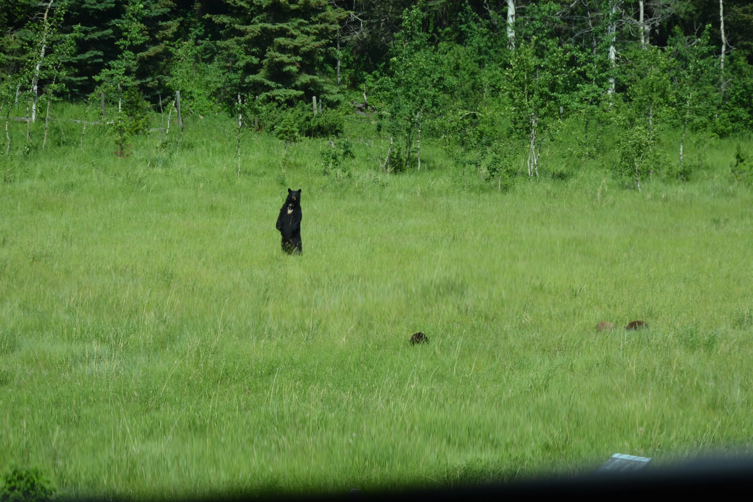 DSC_8633.JPG