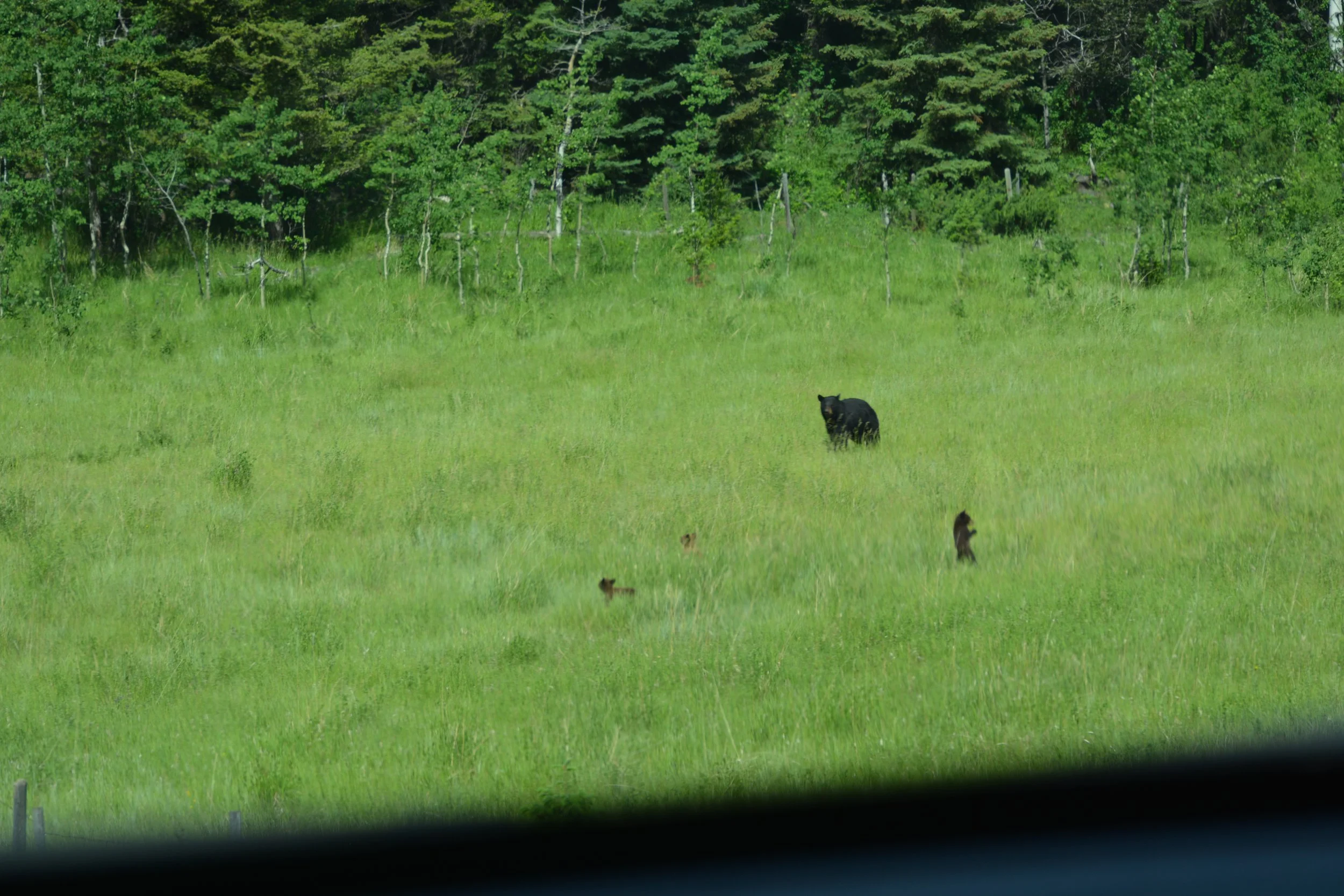 DSC_8634.JPG
