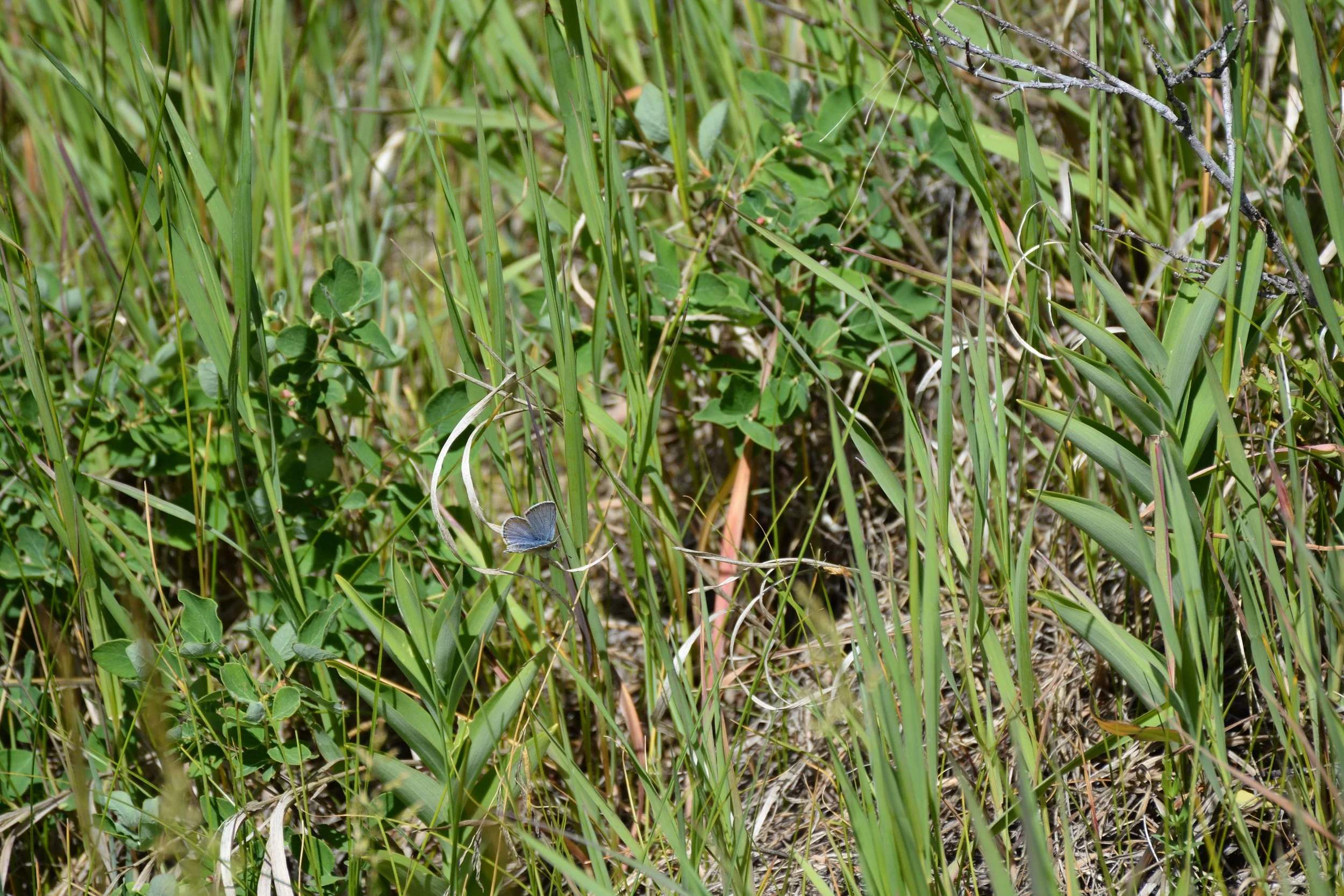 DSC_8679.JPG