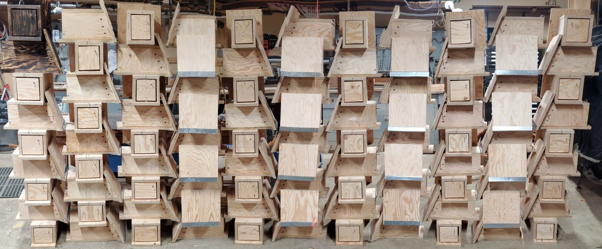 180 new Mountain Bluebird nest boxes ready for installation in Southern Alberta