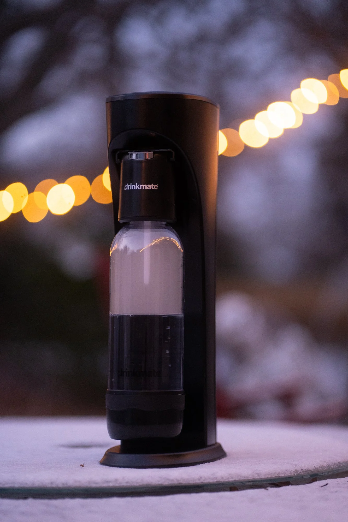 DRIN 2026 01 - Snow-9.jpg