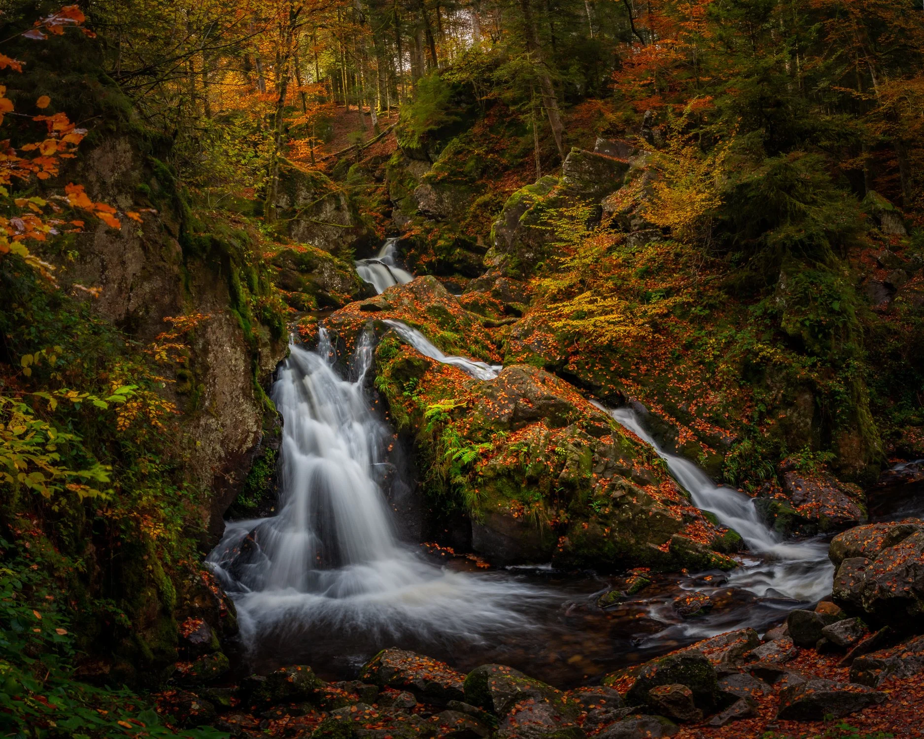 D85_2872-Pano.jpg