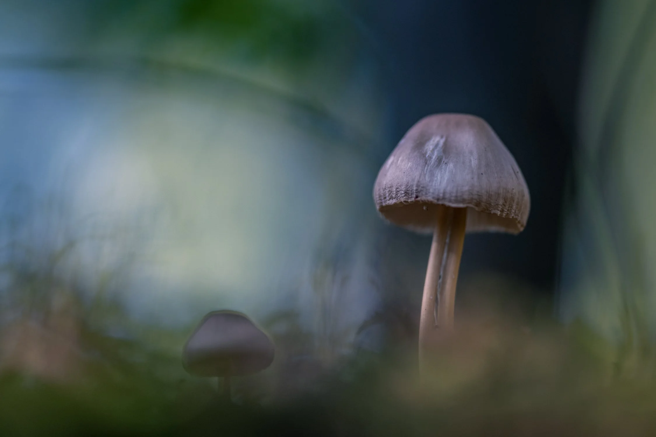 D85_2666.jpg