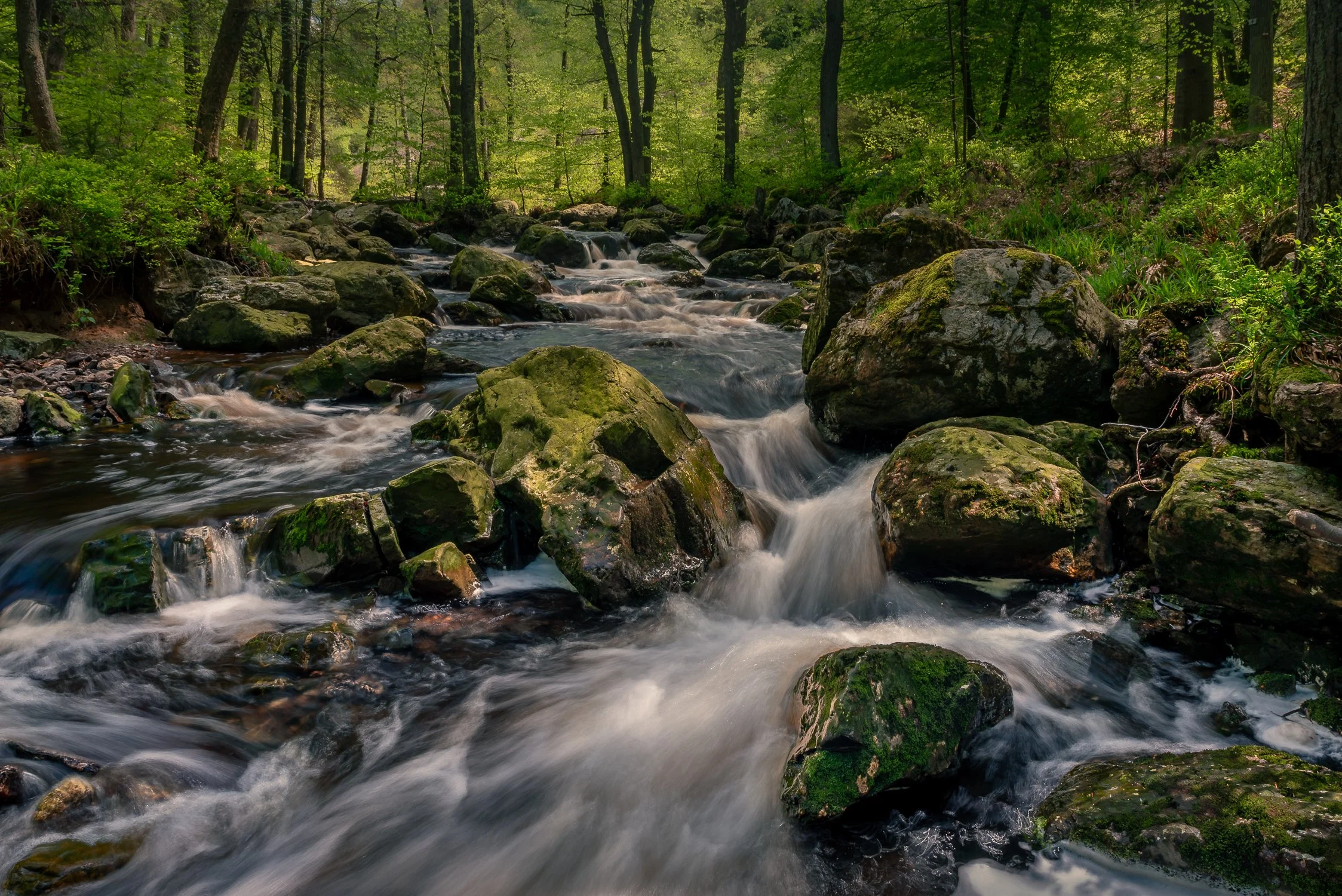 750_9839-Edit.jpg