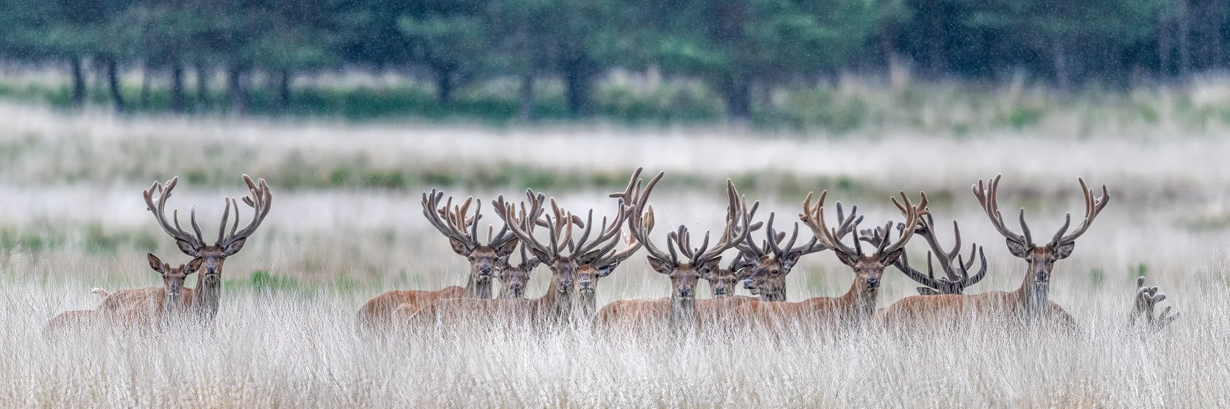 GH (123)-Edit-Edit.jpg