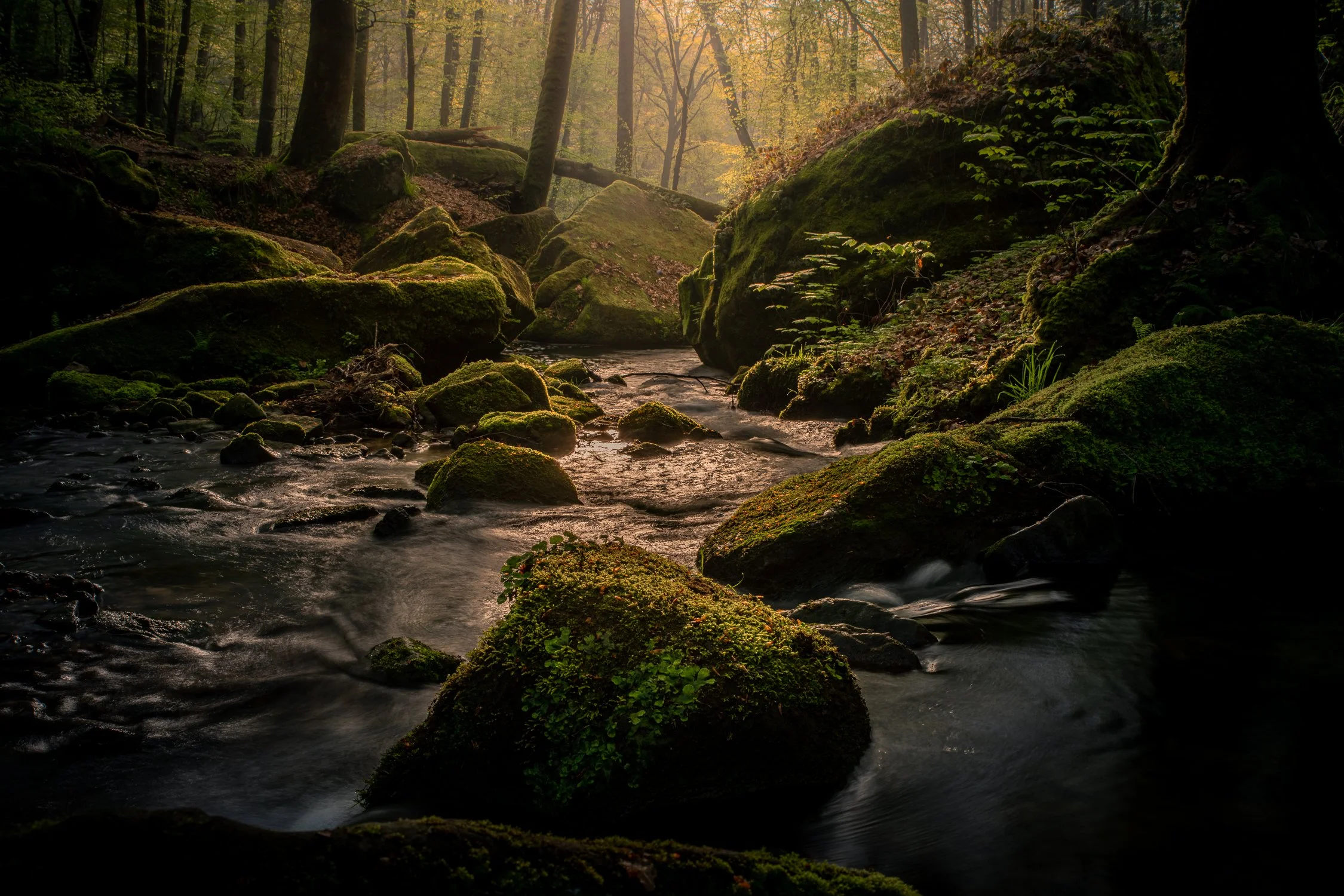 DSC_6007-HDR.jpg