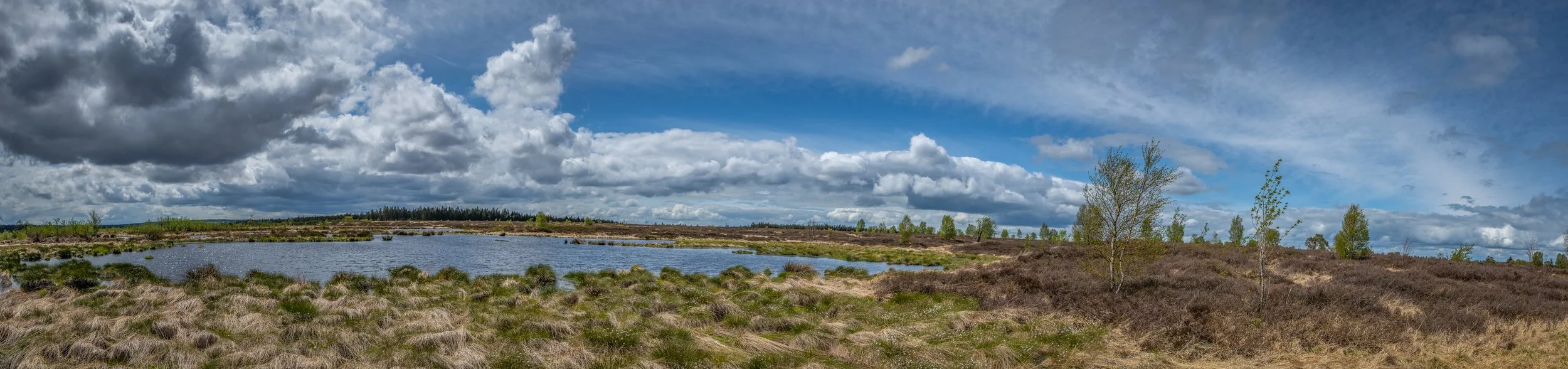 D85_3077-Edit.jpg
