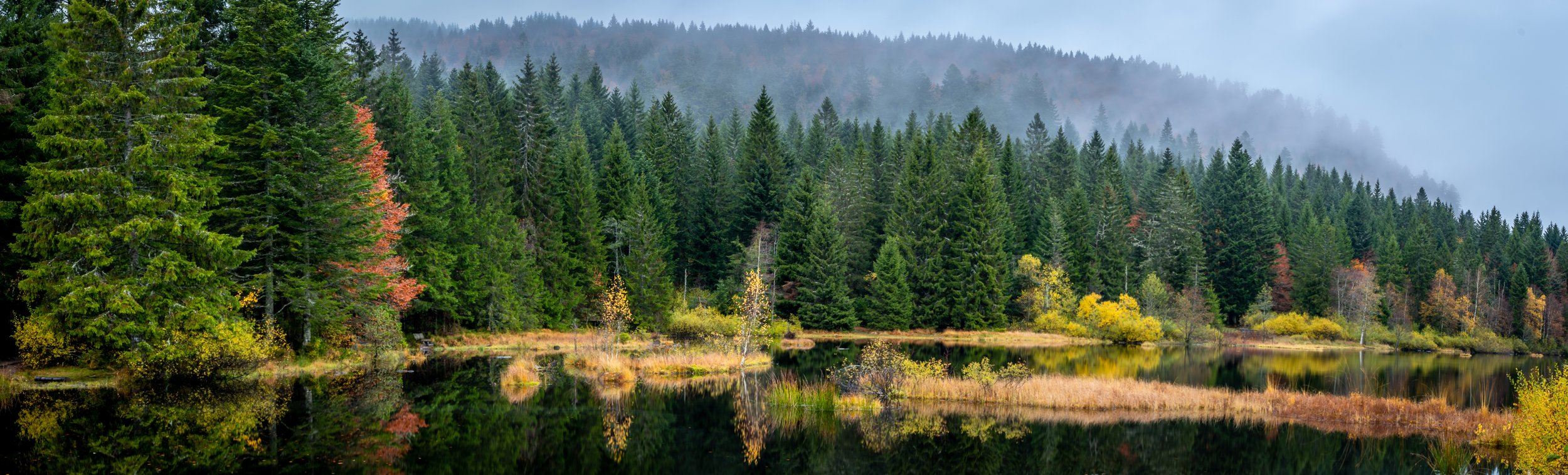 D85_2922-Pano.jpg