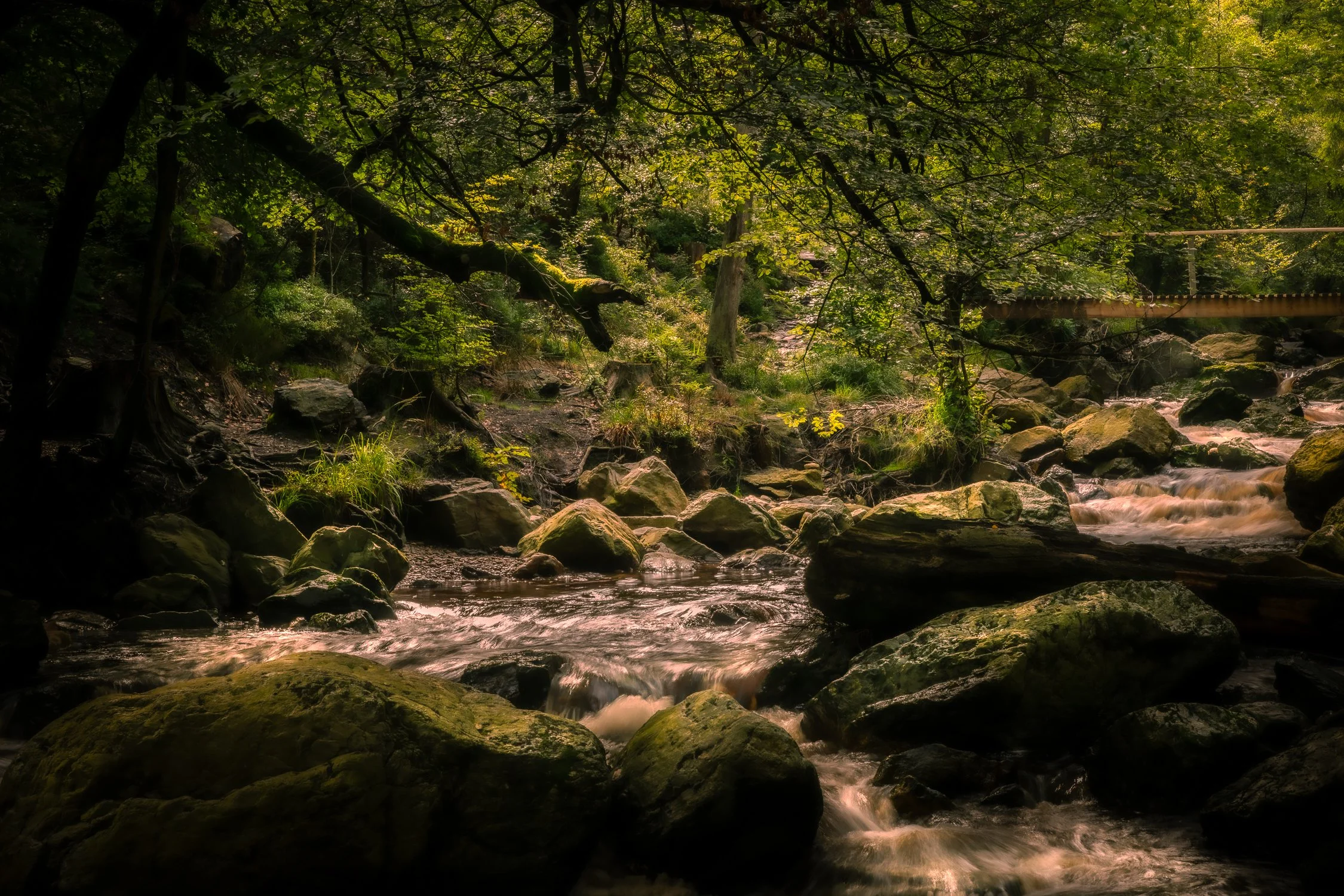 DSC_8943-Enhanced-NR-Edit.jpg